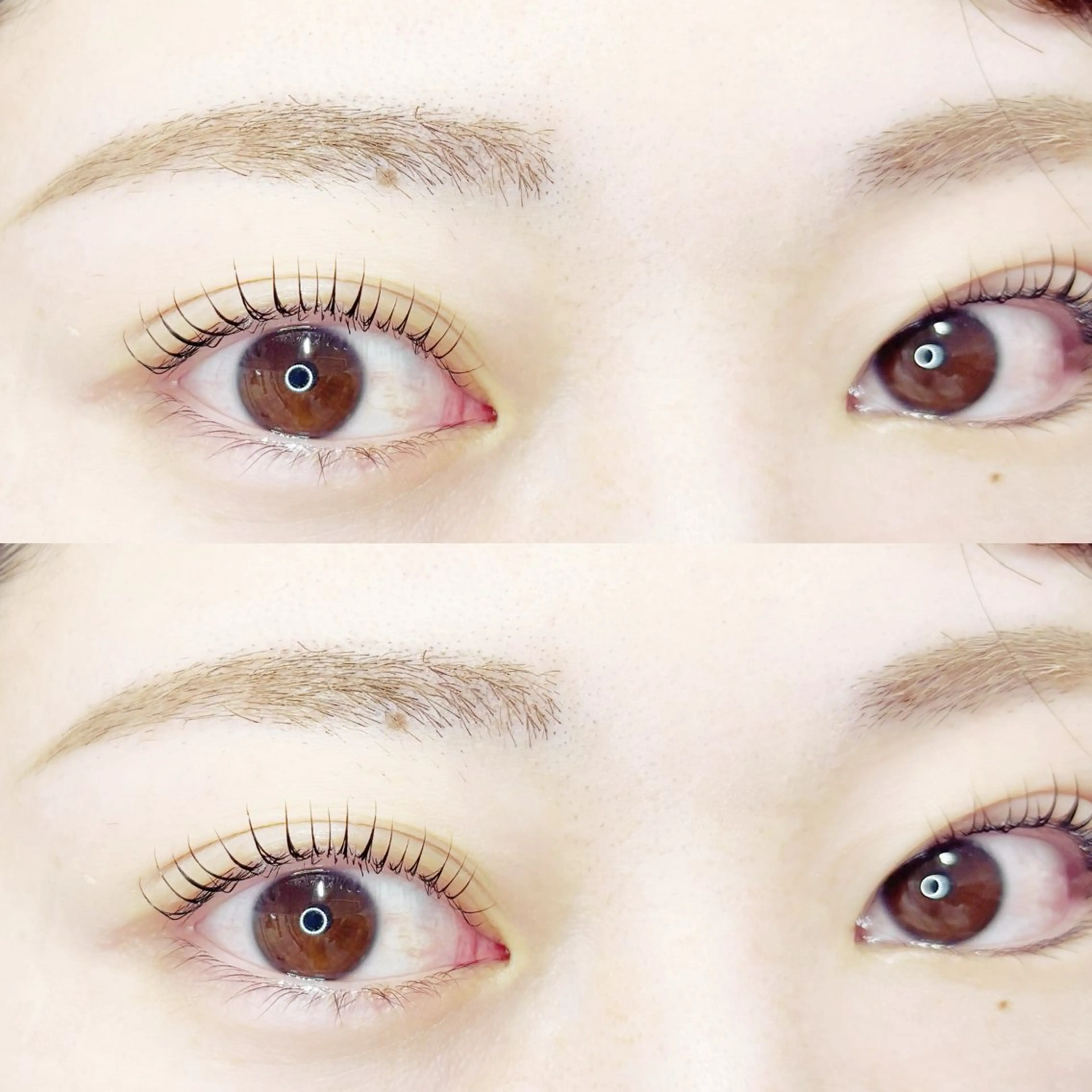 マツエク・マツパ 🫧EYELA Yokoyama🫧のマツエク・マツパデザイン