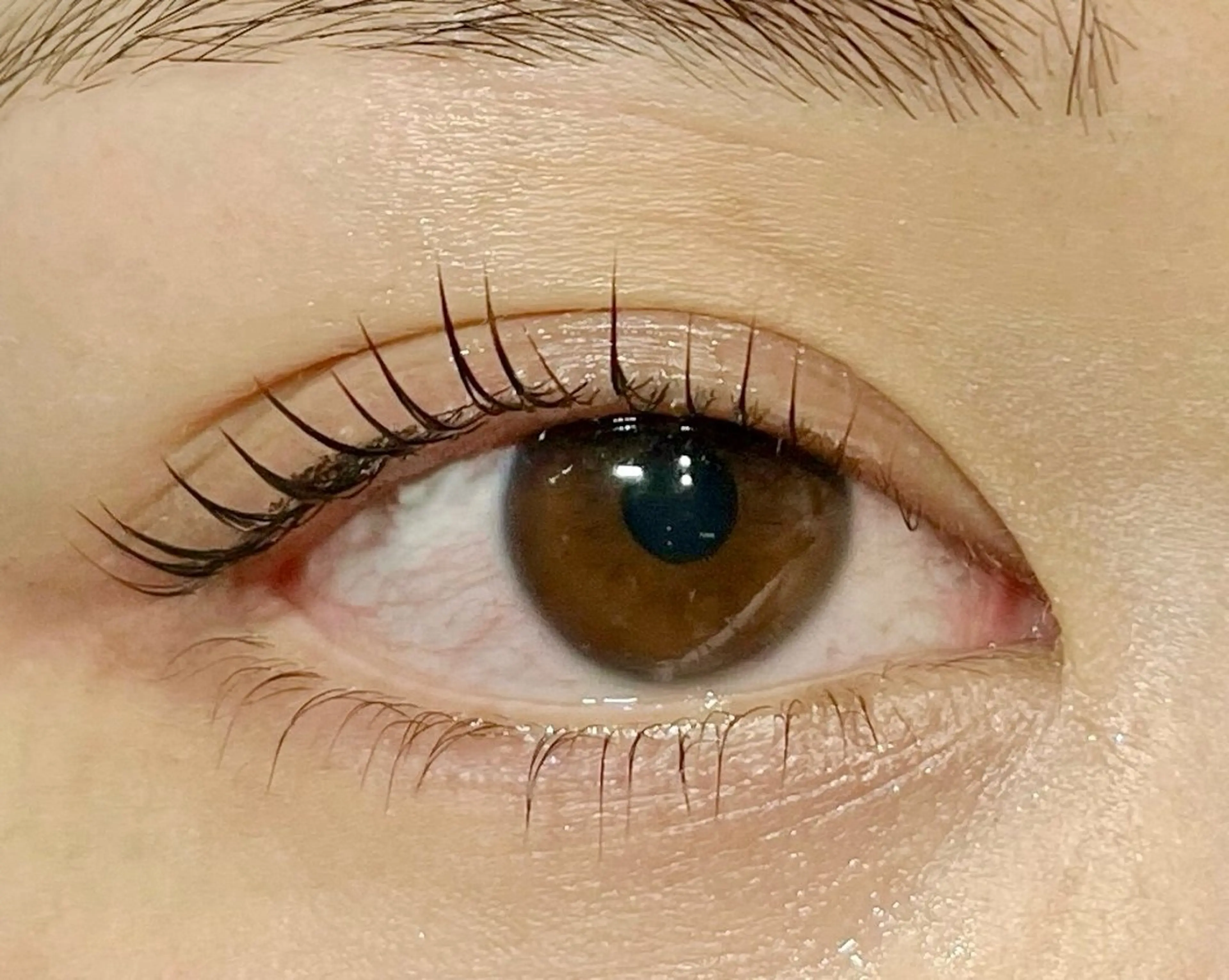 【特別価格】まつげパーマ(上下)＆トリートメント付きの写真