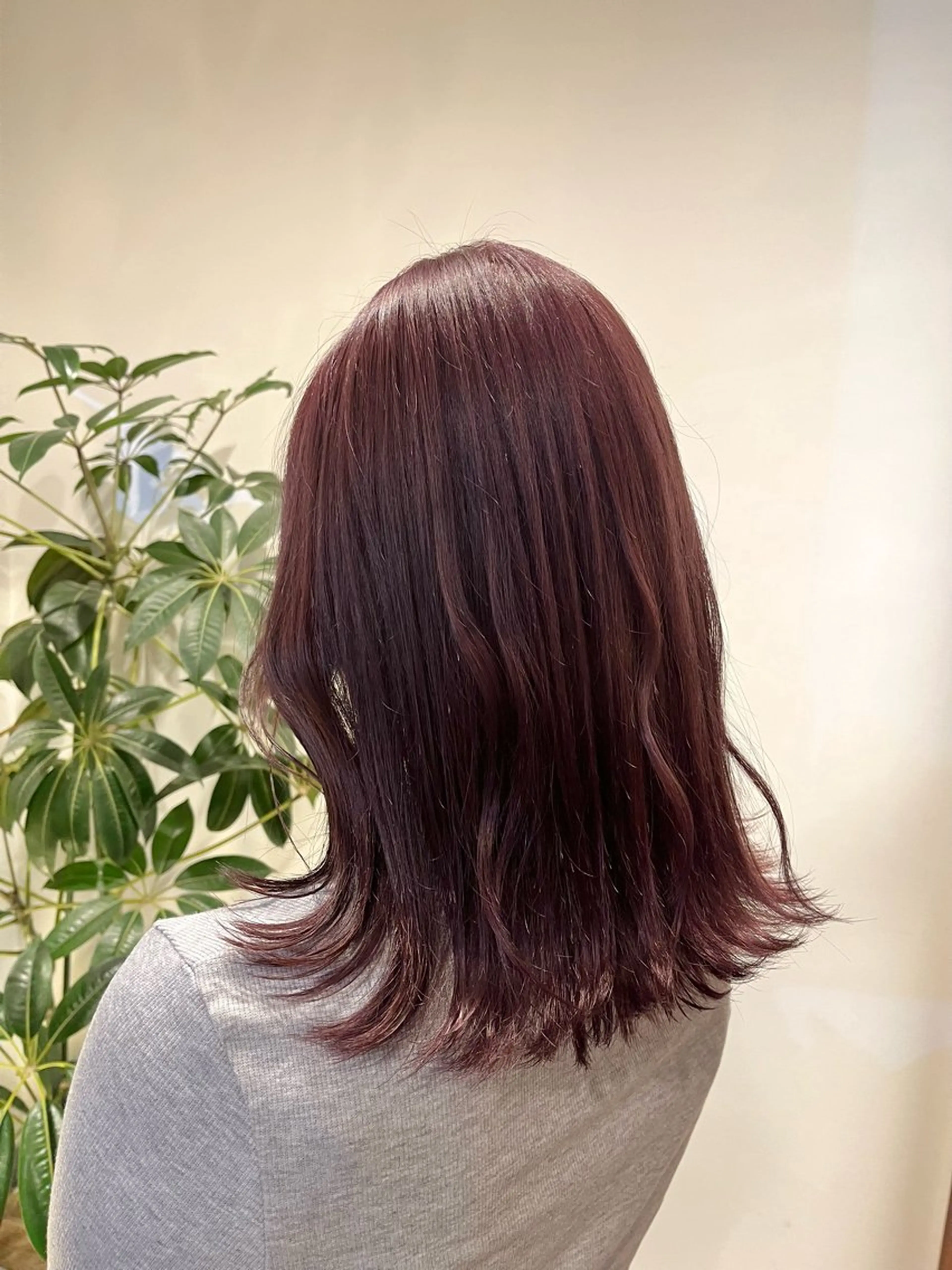 ミディアム カラー カシス 杉原 駿亮のヘアスタイル