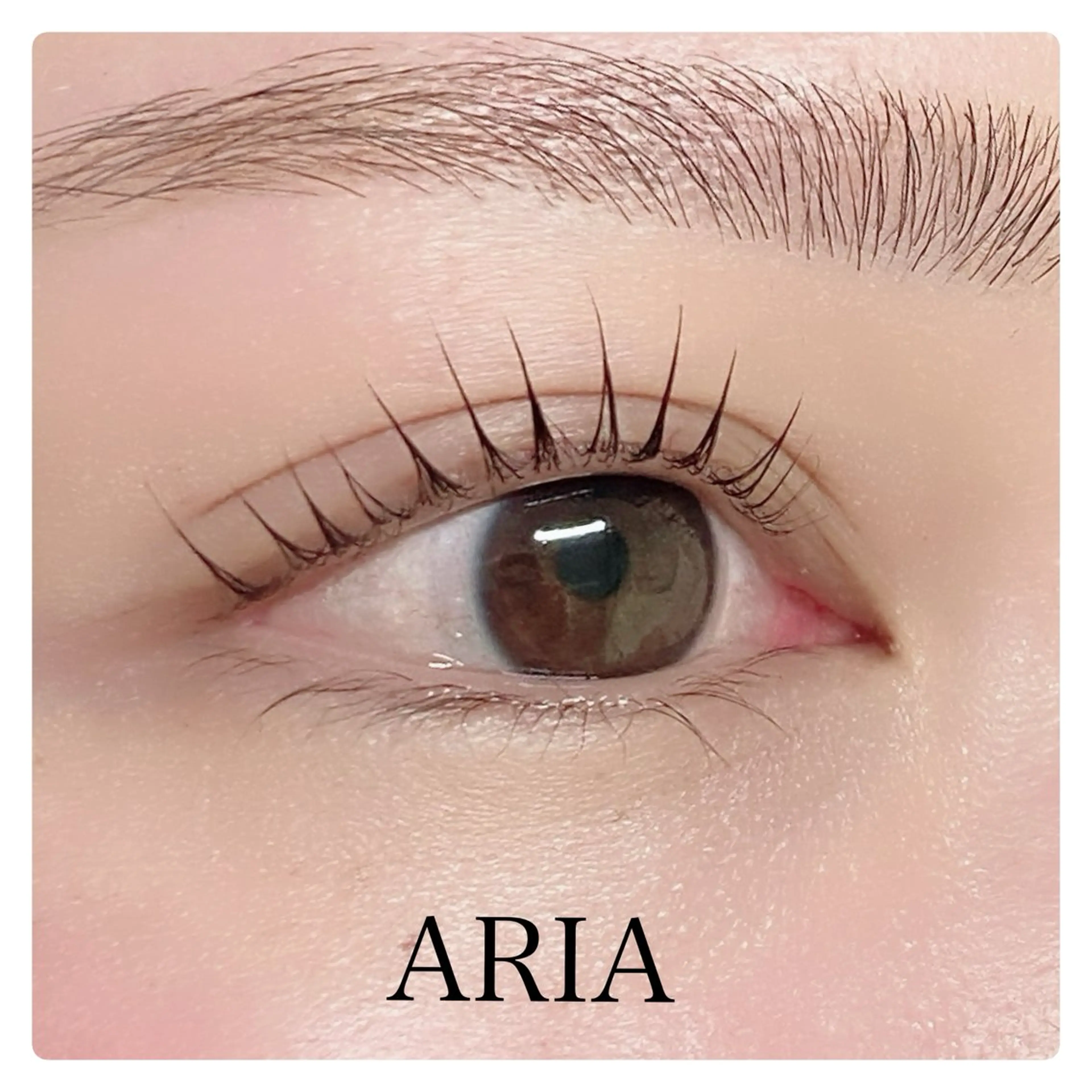 マツエク・マツパ まつげパーマ マツパ ARIAプライベート サロン五反田のマツエク・マツパデザイン