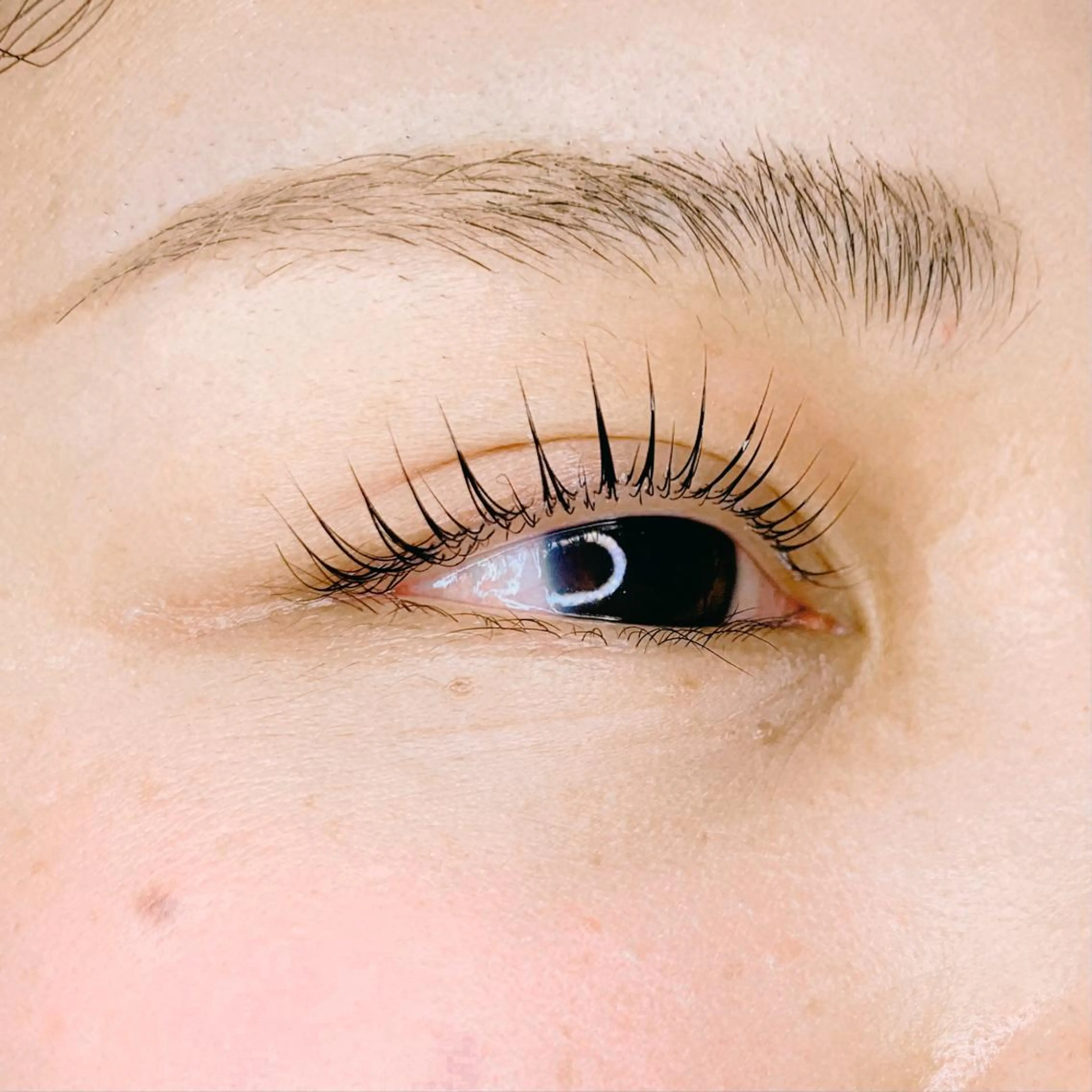 マツエク・マツパ 🧸Celeste Venusのマツエク・マツパデザイン