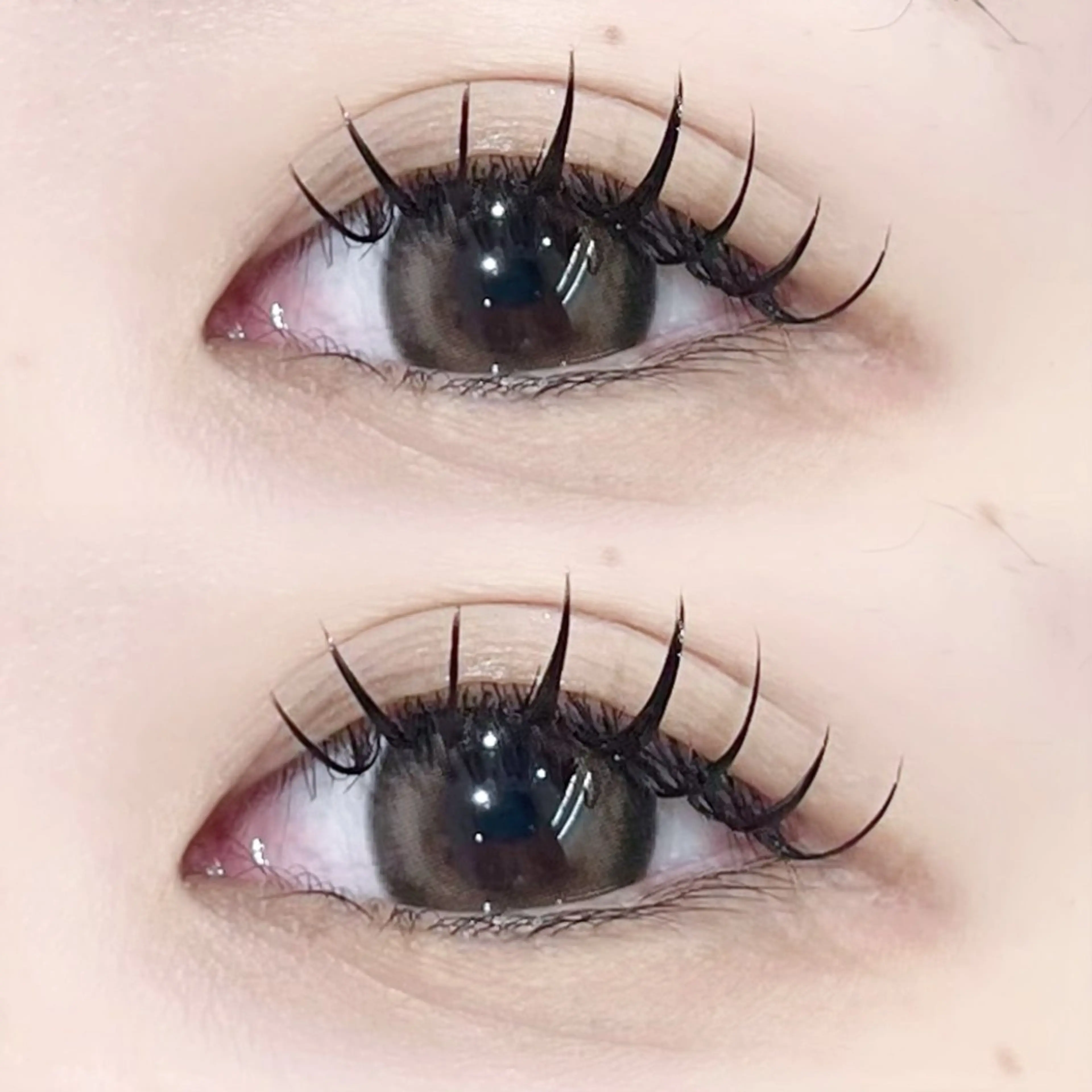 マツエク・マツパ 束感まつ毛 Cカール キュート 🤍𐙚KONOHO 束感まつ毛𐙚🤍のマツエク・マツパデザイン