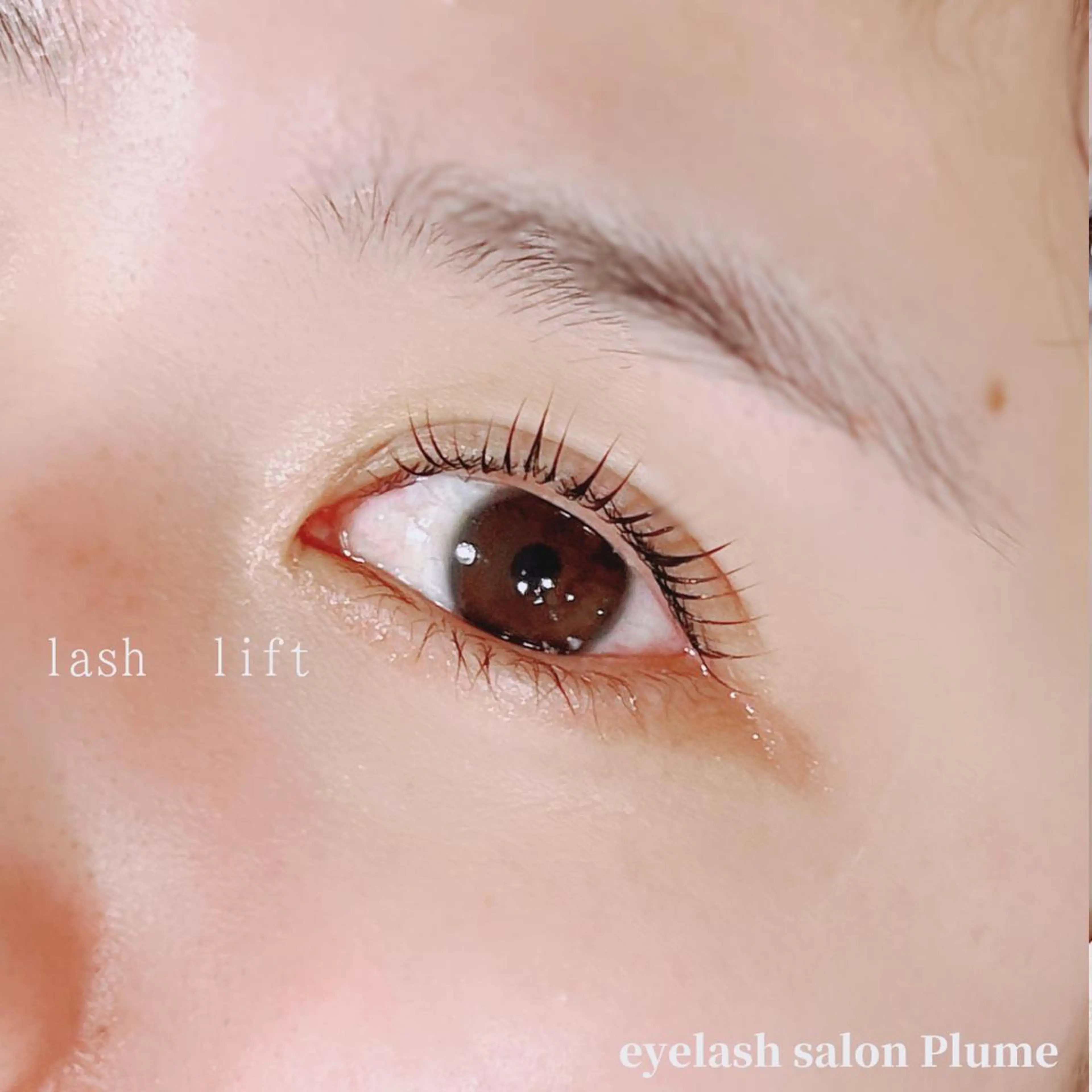 マツエク・マツパ まつ毛、毛穴ケア 専門サロンPlumeのマツエク・マツパデザイン