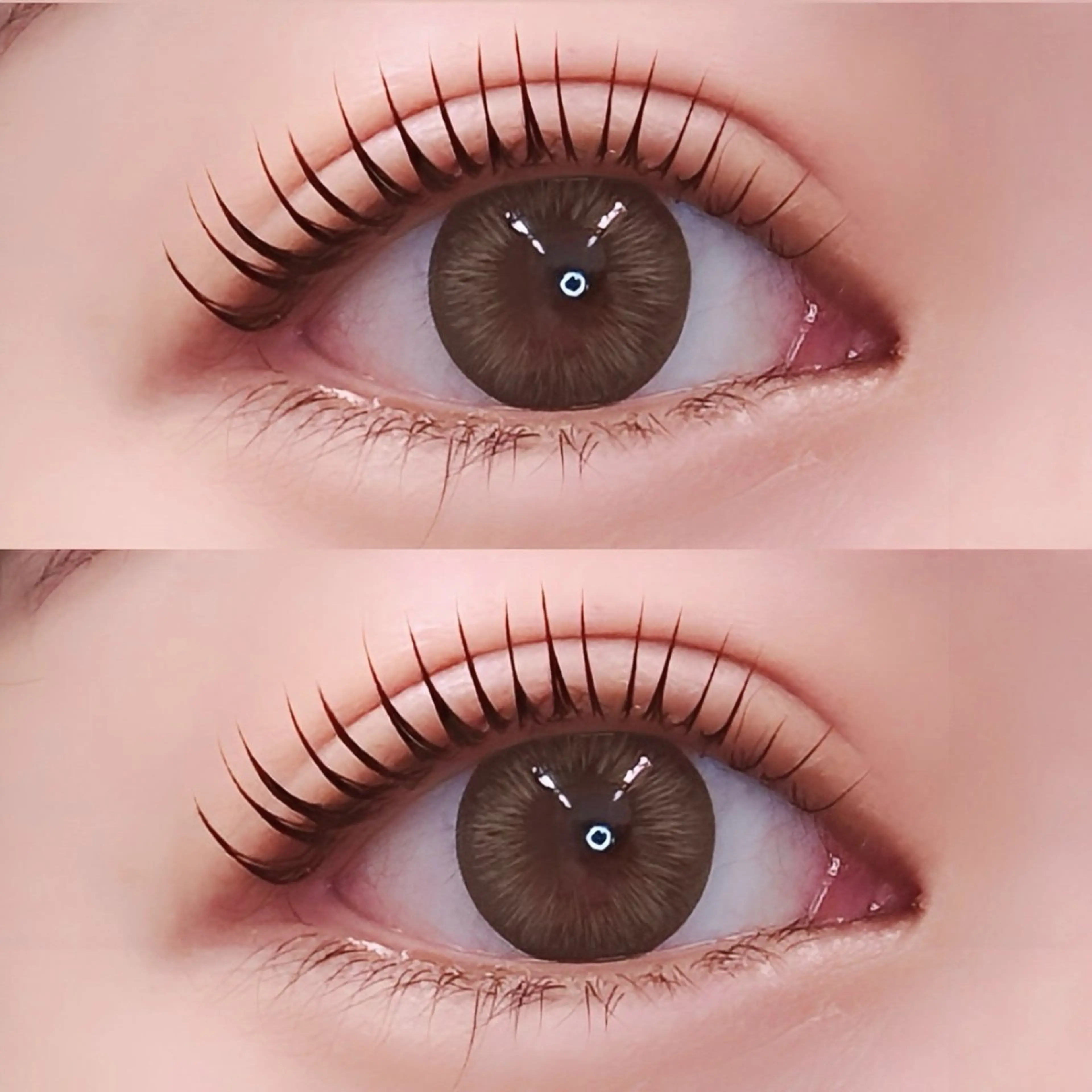 ✨️🇰🇷韓国人気のマスカラパーマ🇰🇷✨️【ブラックティント,コーティング付き】パリジェンヌorラッシュリフト🤍の写真