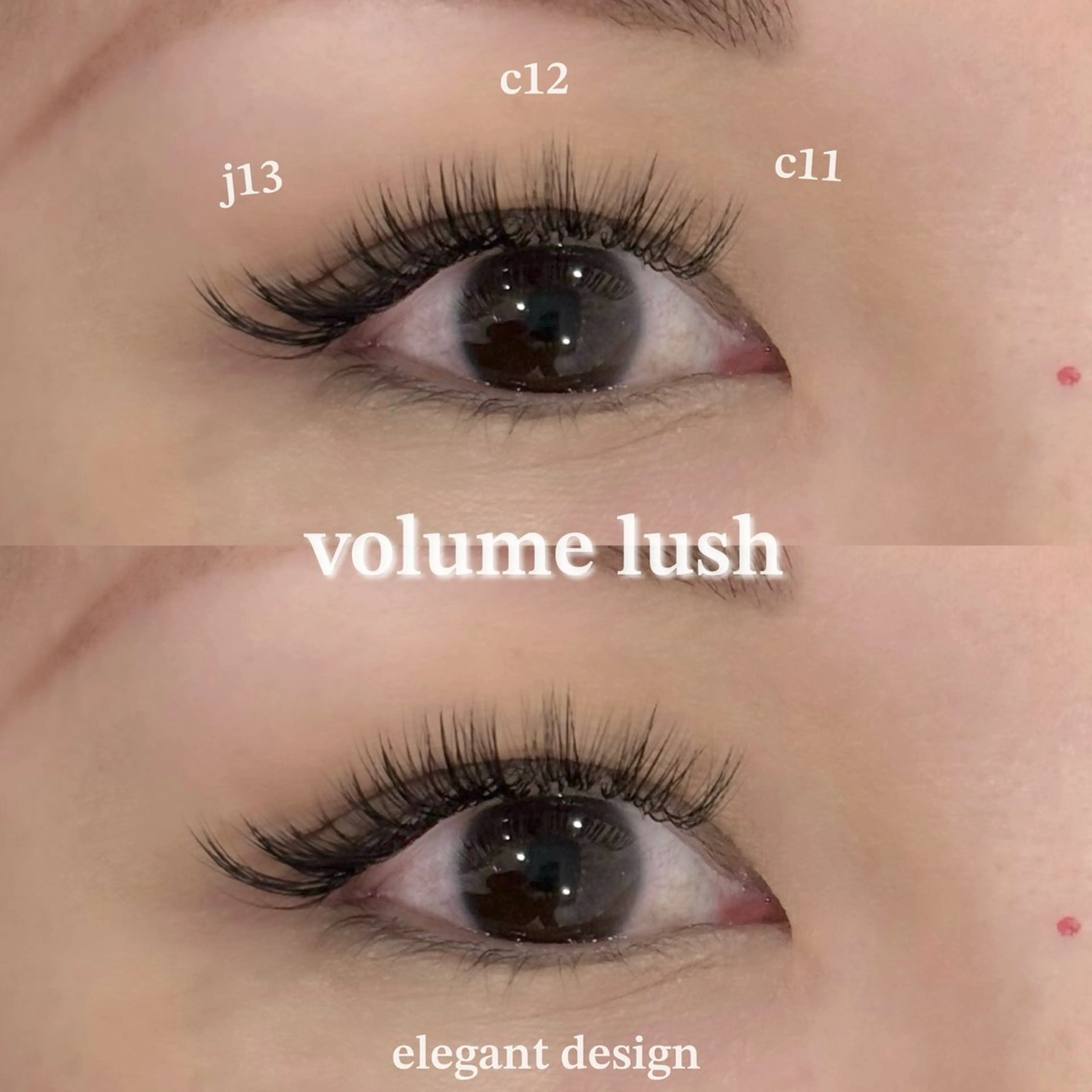 LED×ボリュームラッシュ300本🩵（オフ+¥500）の写真