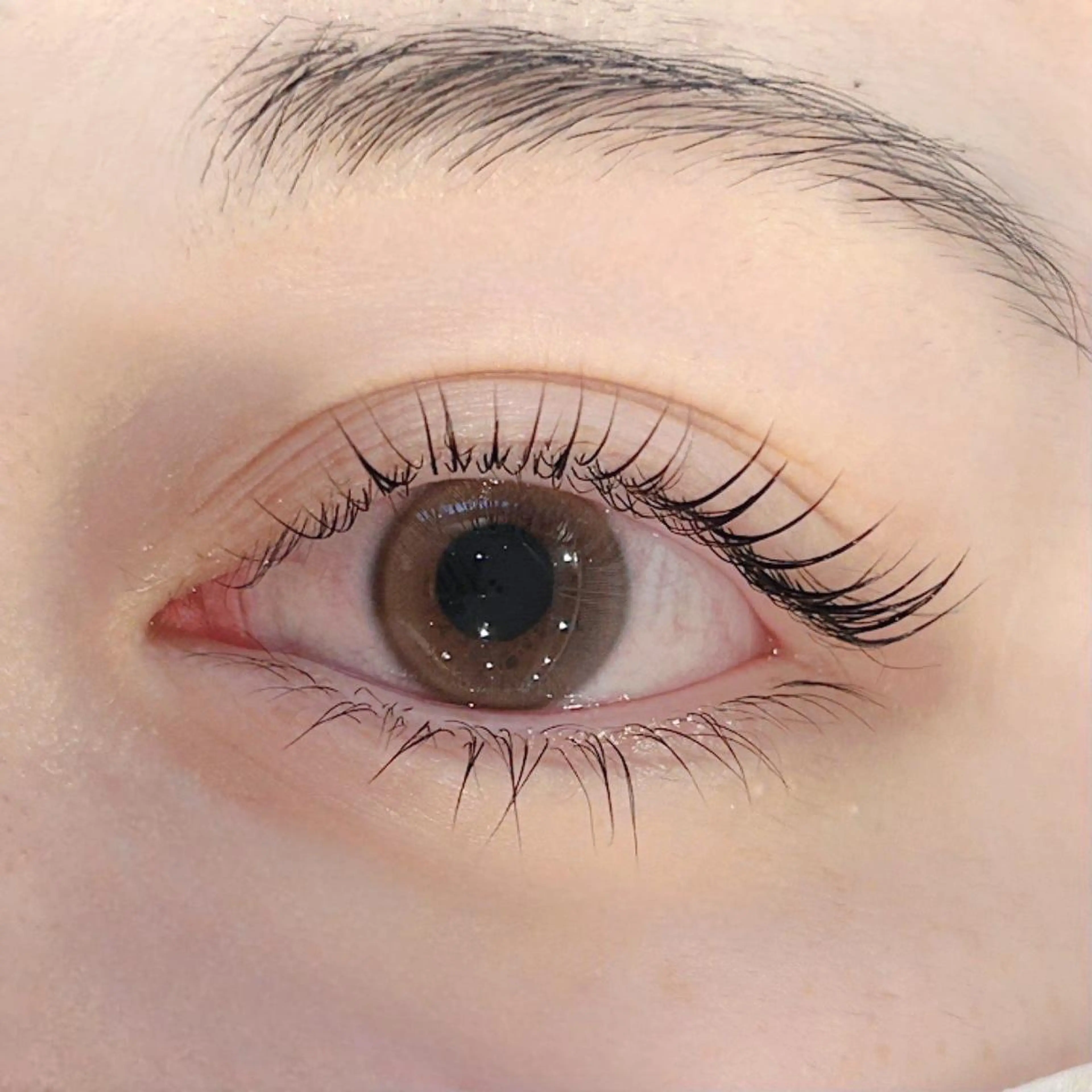 マツエク・マツパ 一重×まつ毛パーマ マツパ まつパ/束感マツエク 🧸suzunaのマツエク・マツパデザイン