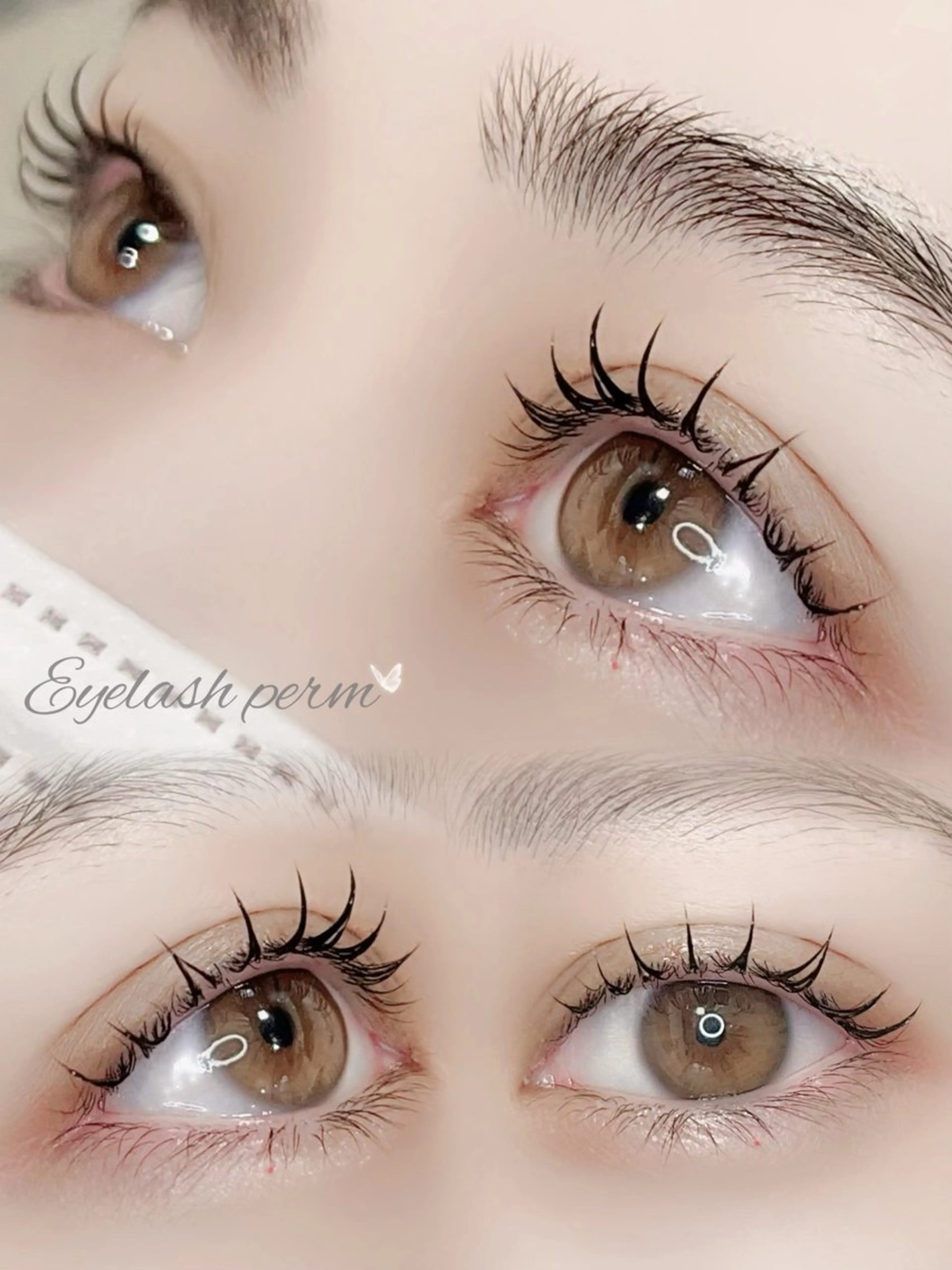 マツエク・マツパ まつげパーマ マツパ torie川越 🦋RIN🦋のマツエク・マツパデザイン