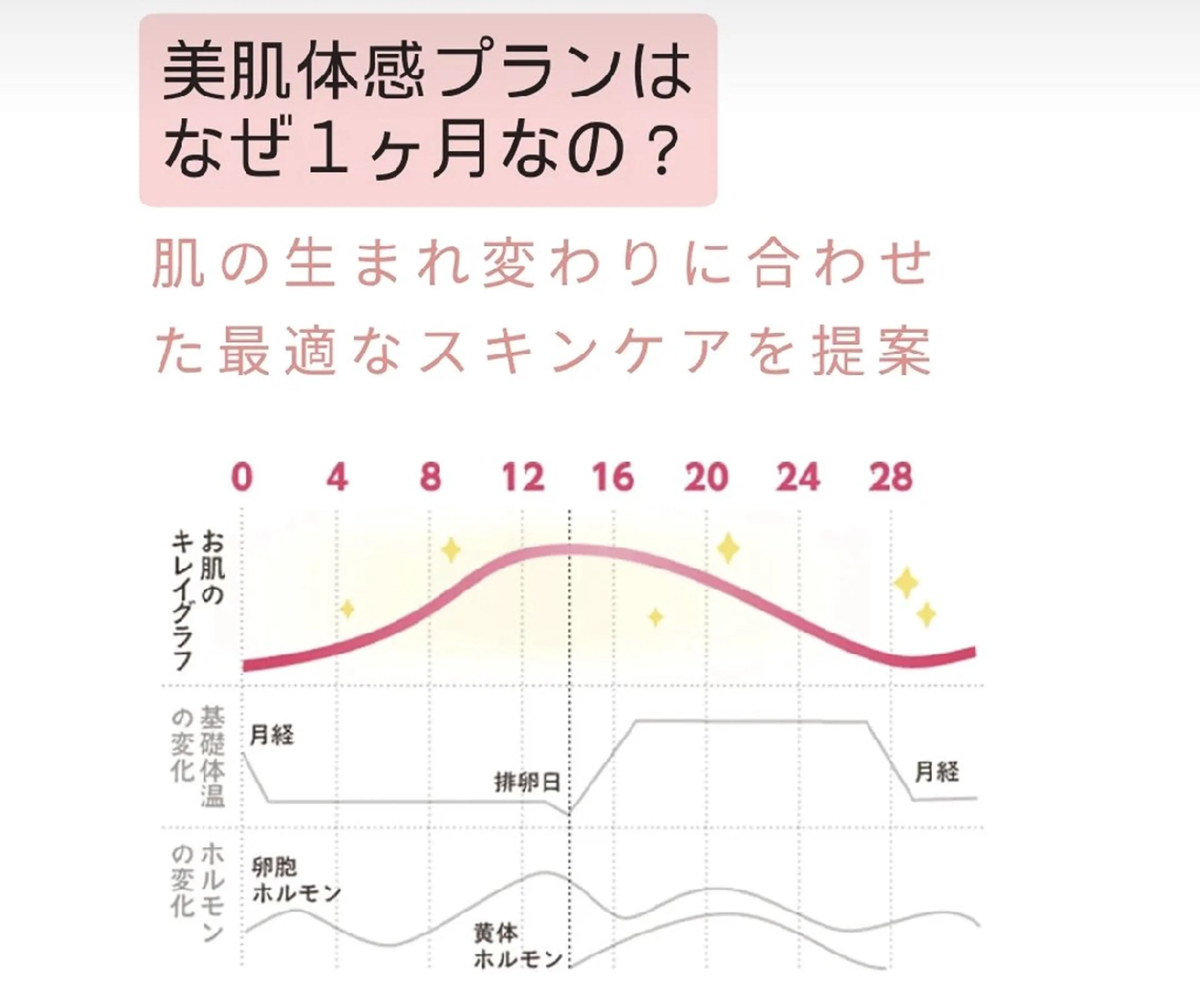 エステ 上尾Luce. あきやまのエステ・リラクイメージ