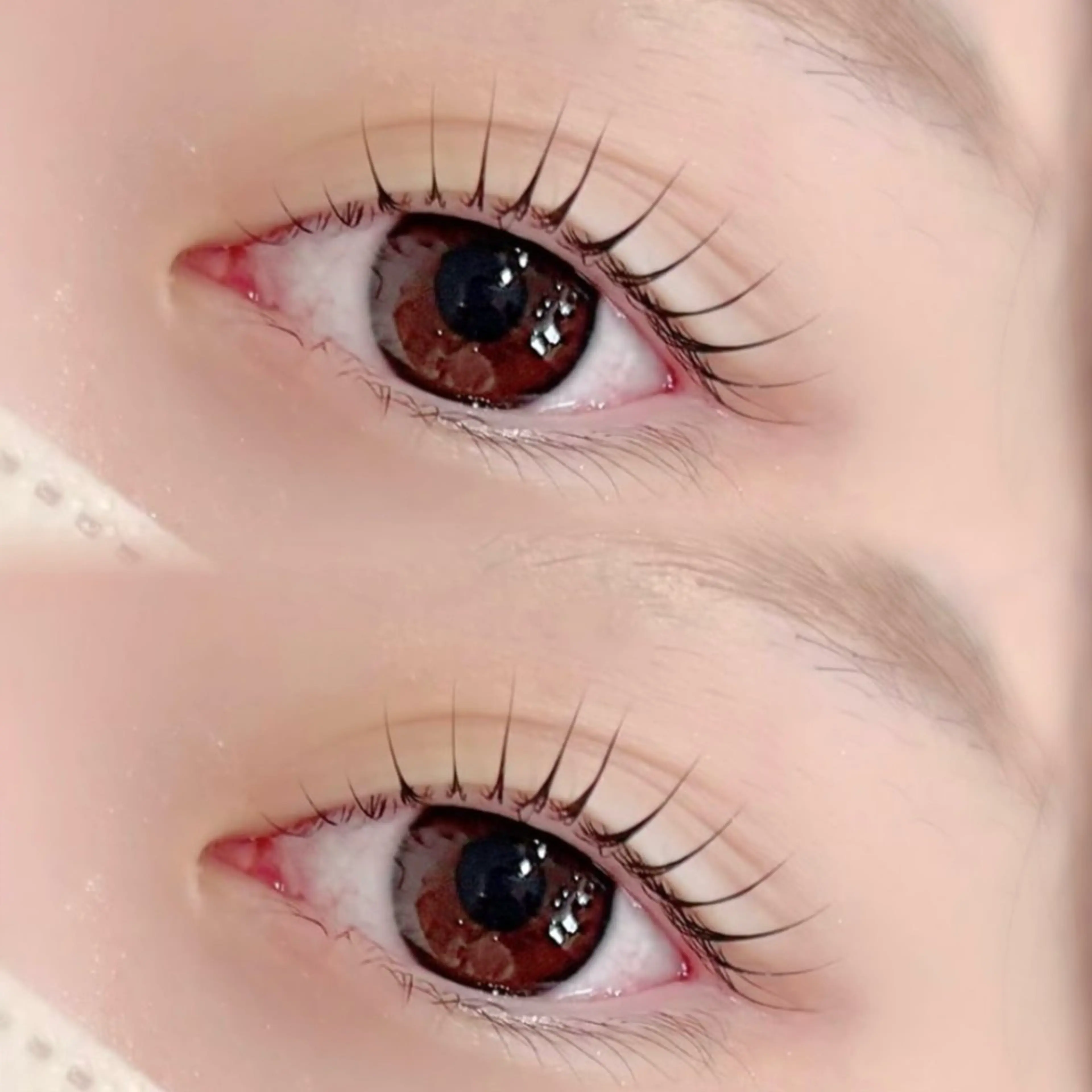 マツエク・マツパ パリジェンヌラッシュリフト 一重×まつ毛パーマ shota/マツエク /まつ毛パーマのマツエク・マツパデザイン