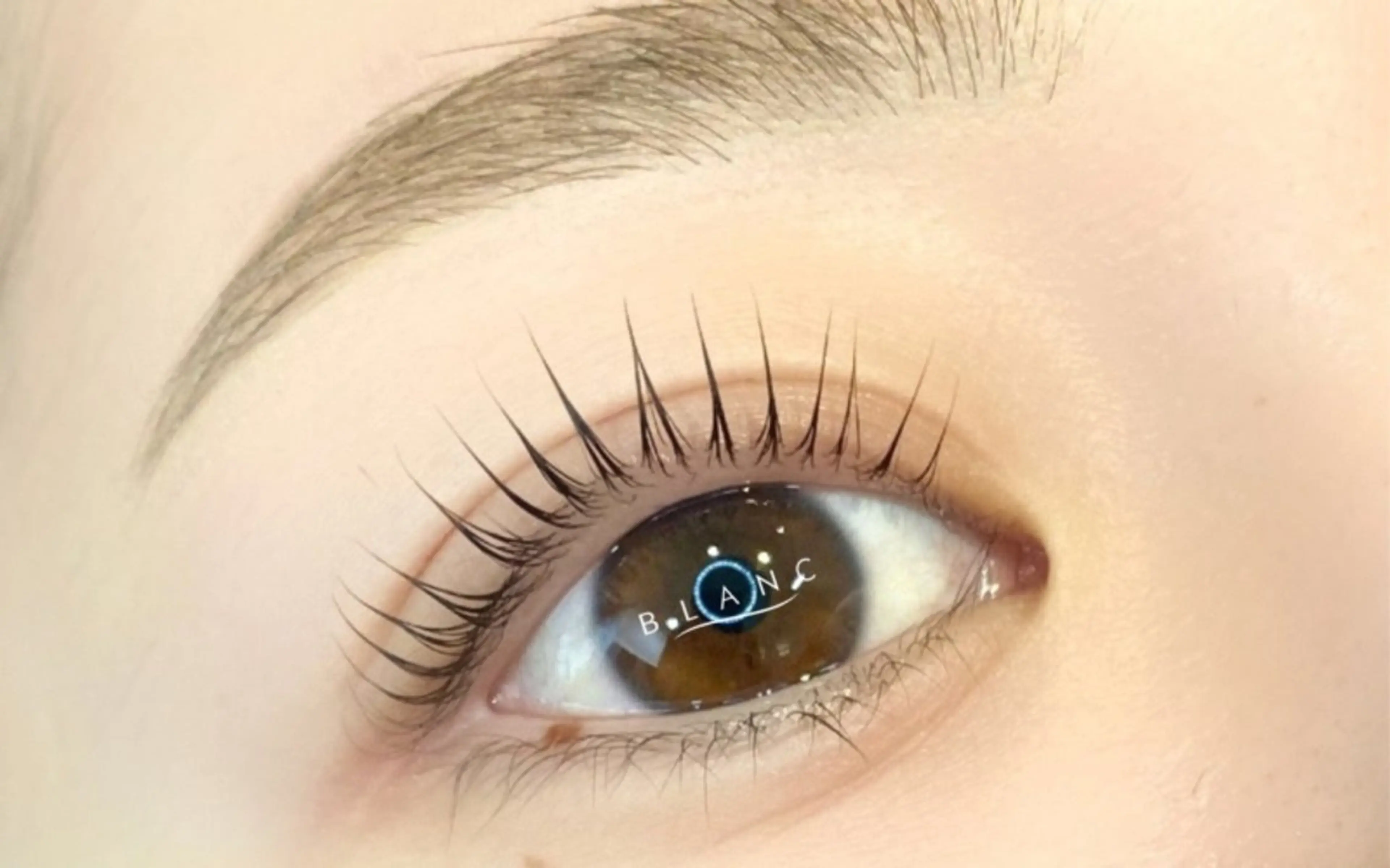 マツパ無料モデルの写真