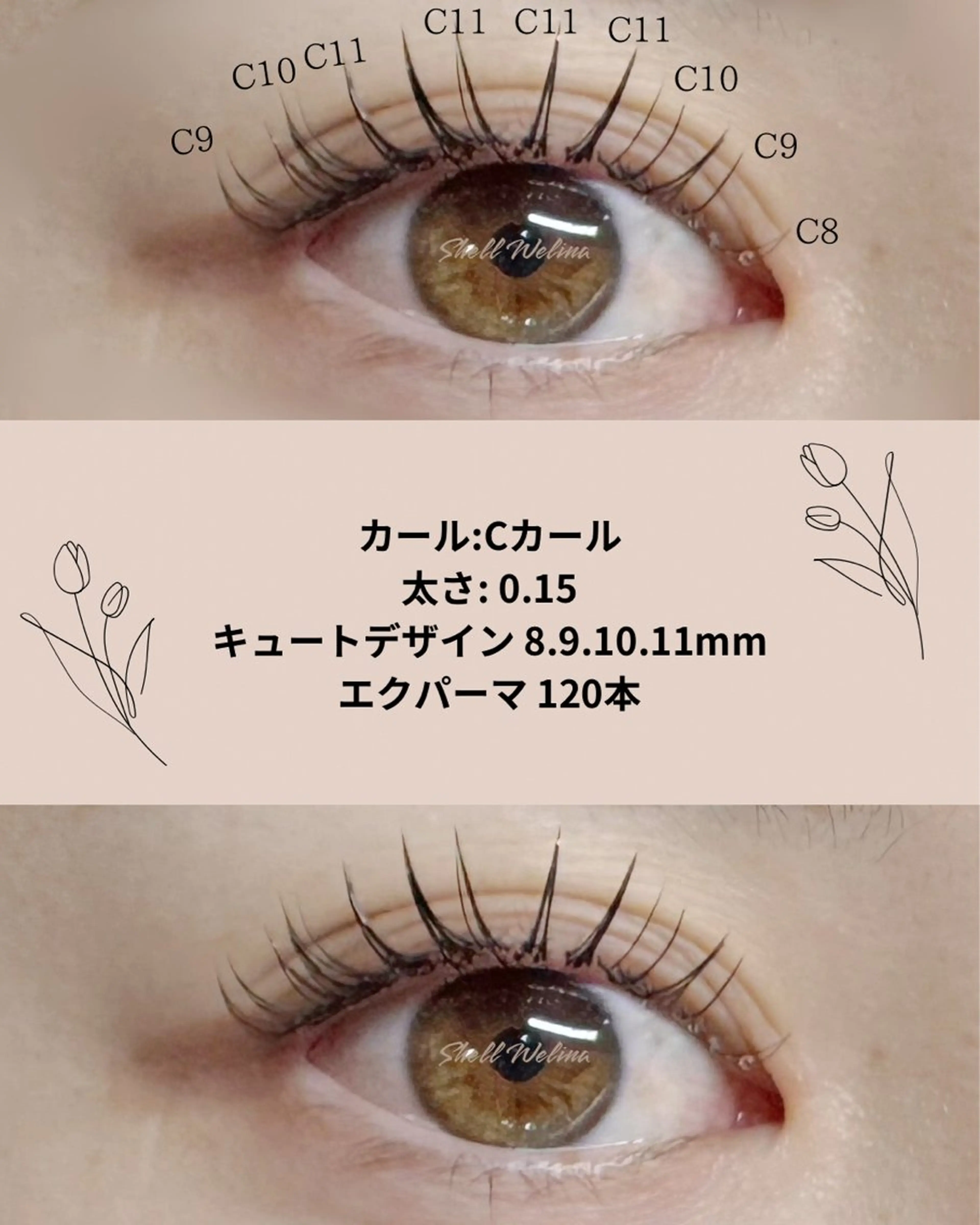 マツエク・マツパ マツエク 船橋 SHeLL Welina Aiのマツエク・マツパデザイン