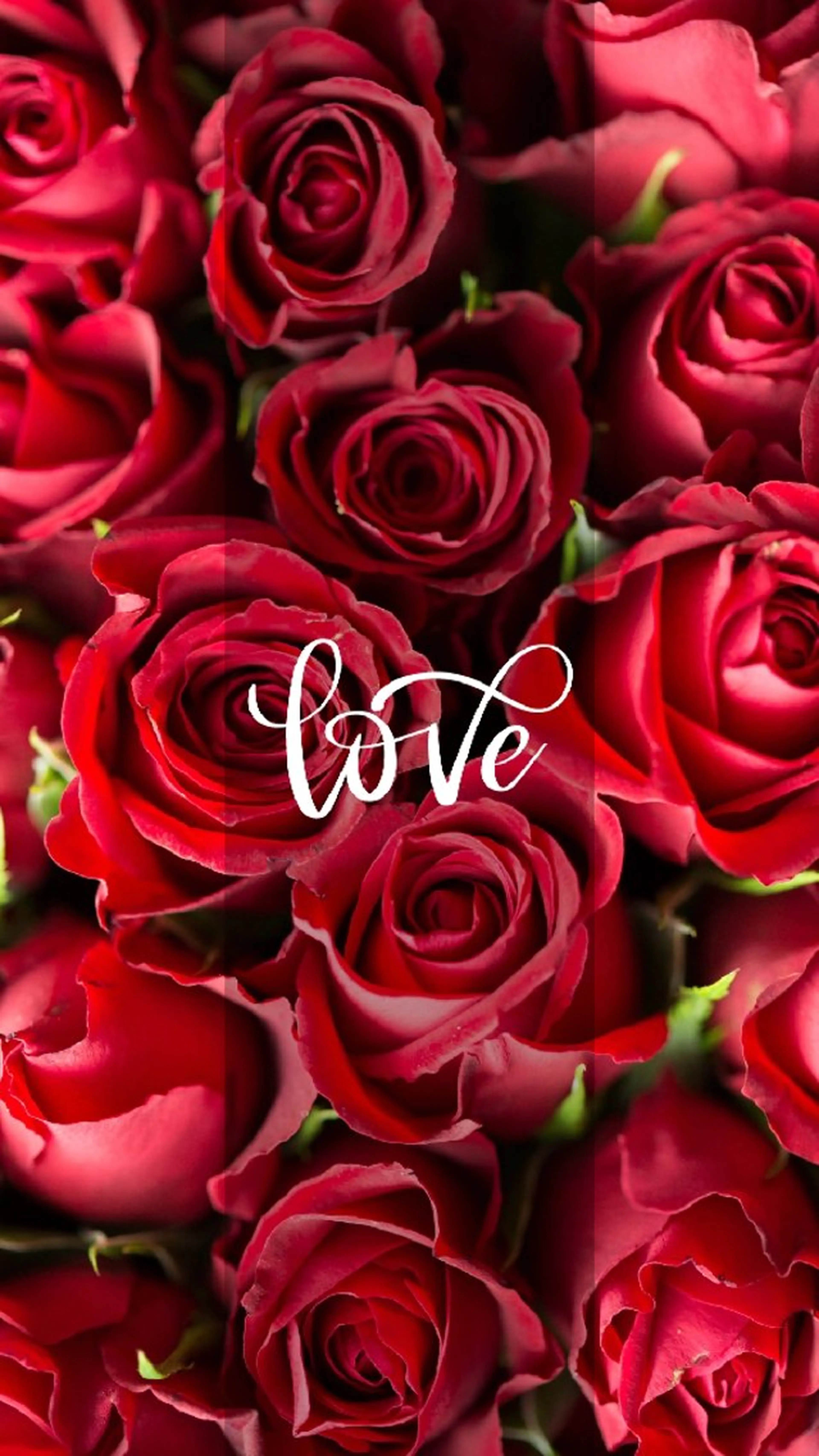 未来系Spot Beauty Salon BRI所属・✨Esthetic✨ Salon✨BRI✨のエステ・リラクイメージ