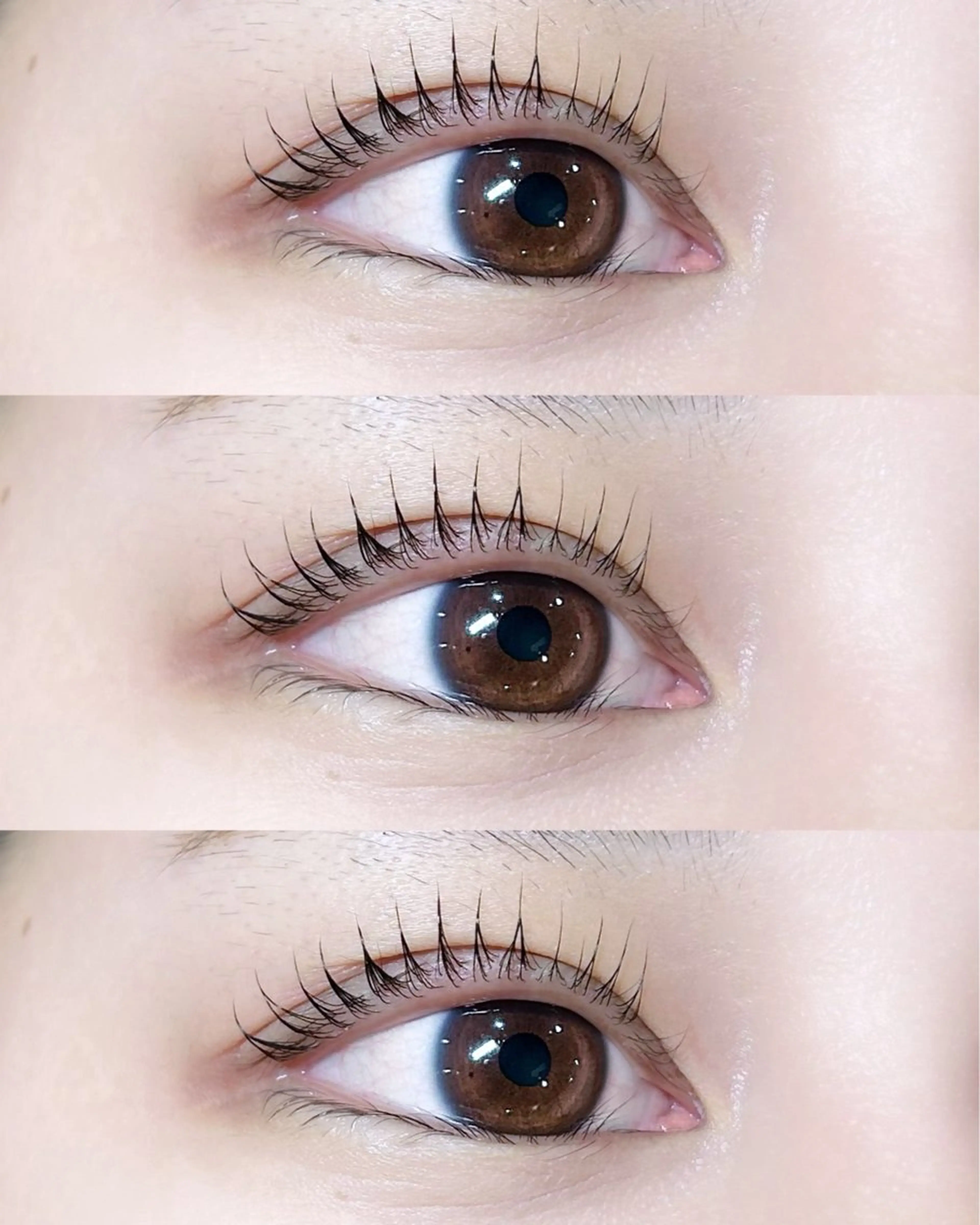 マツエク・マツパ ナチュラル 【 SHE:P 】 まつだのマツエク・マツパデザイン