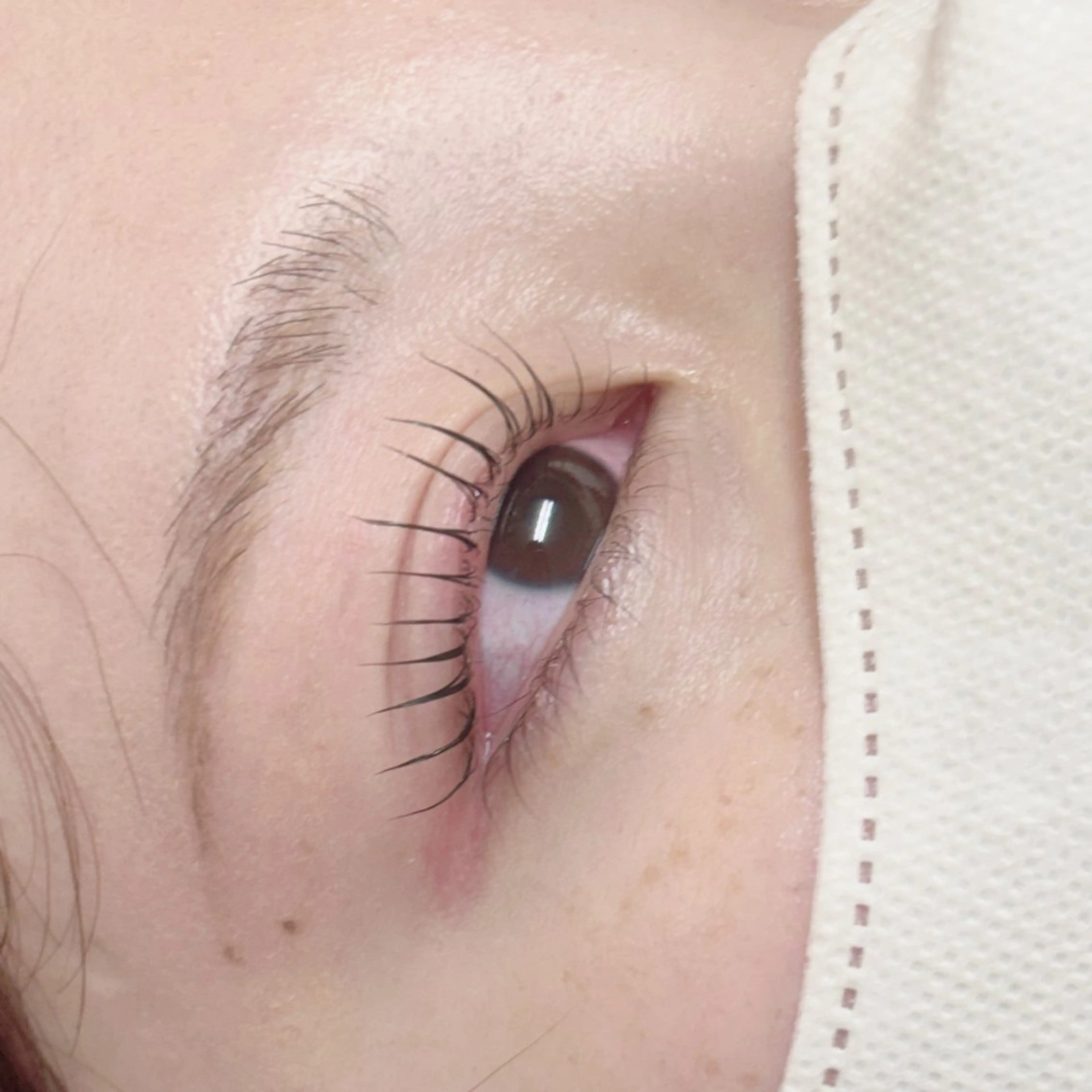 マツエク・マツパ 彩楓 /EYELA🪄ྀིのマツエク・マツパデザイン