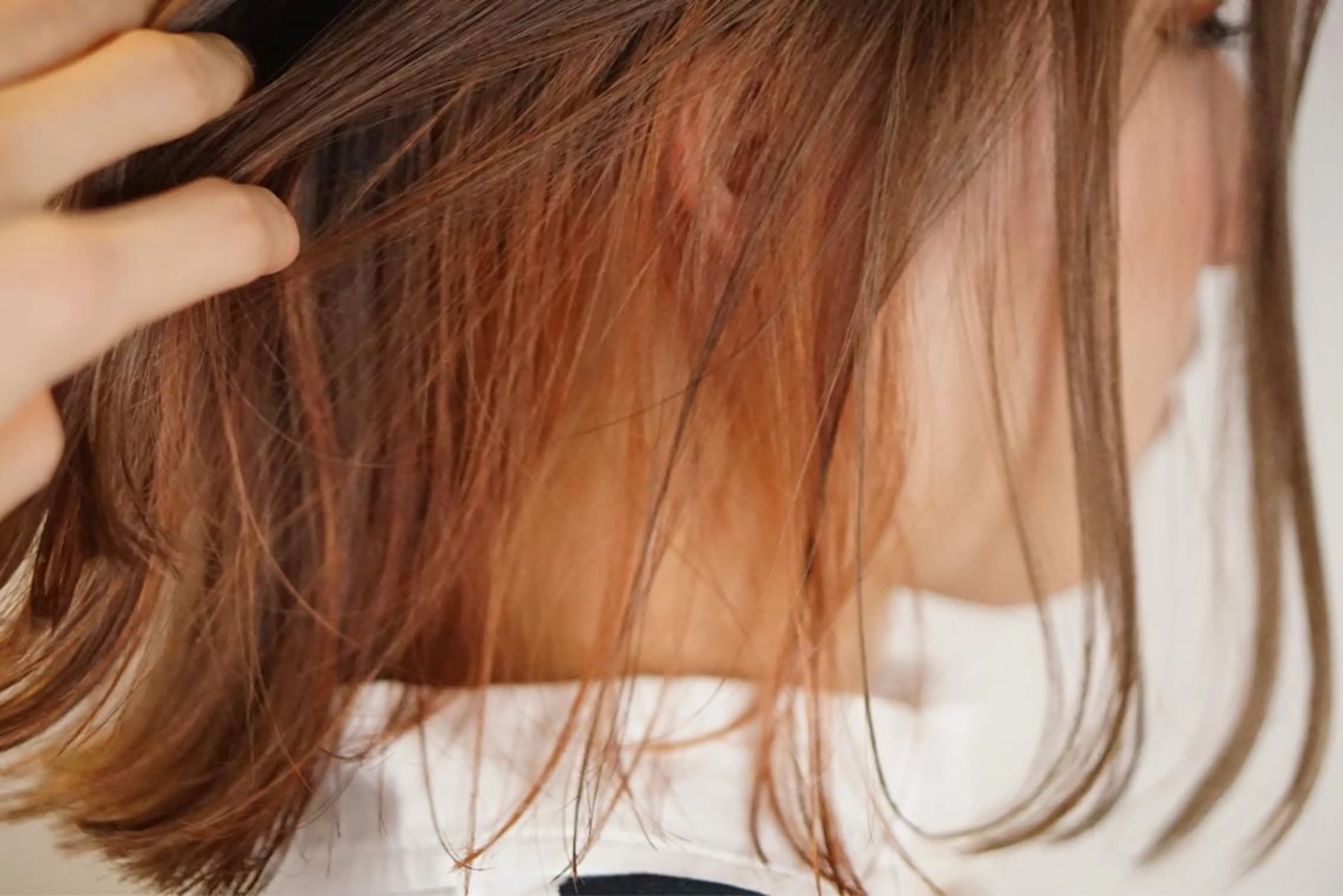 ショート カラー インナーカラー ボブ　ショート 特化 迫田紘史のヘアスタイル