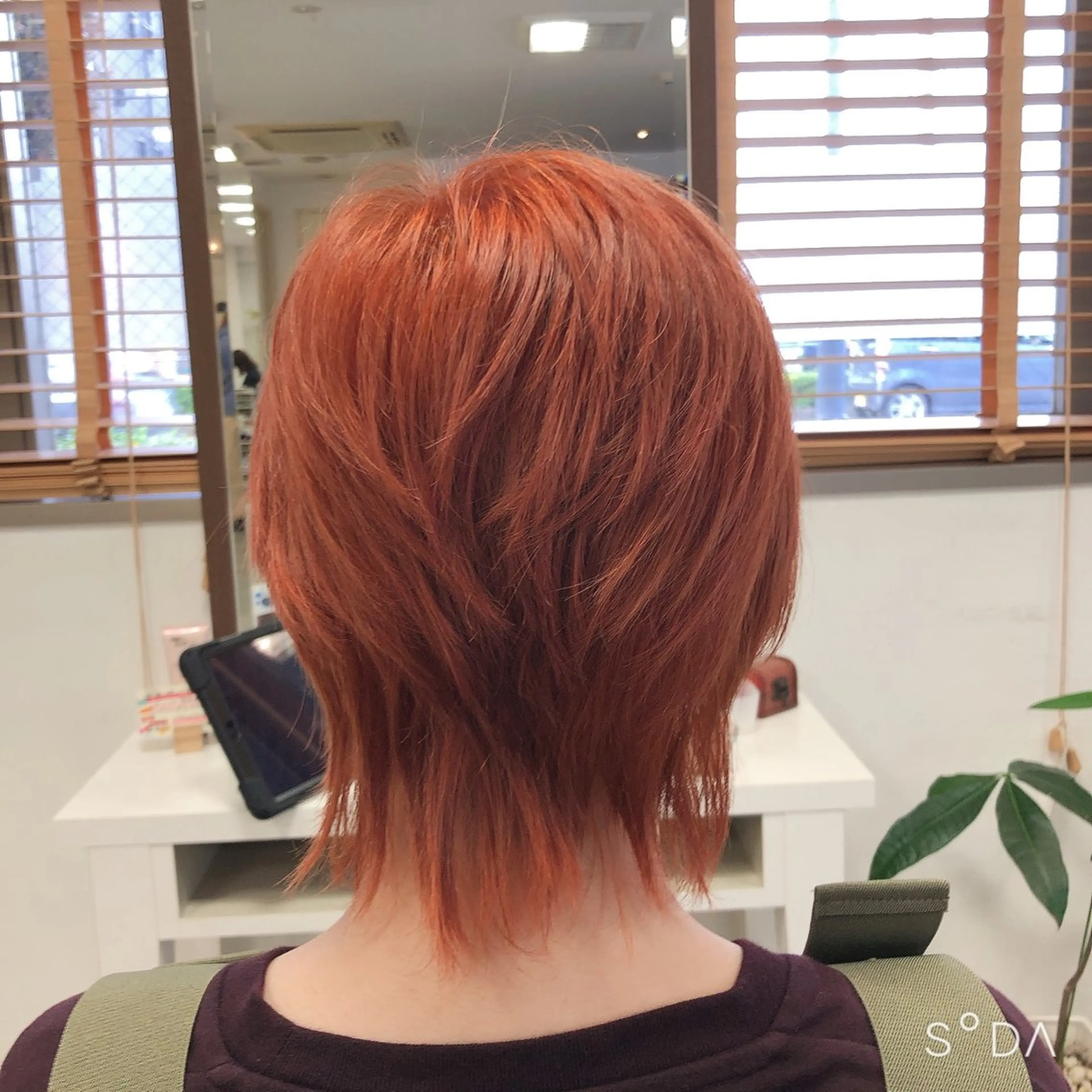 ショート カラー 菊地 聖のヘアスタイル