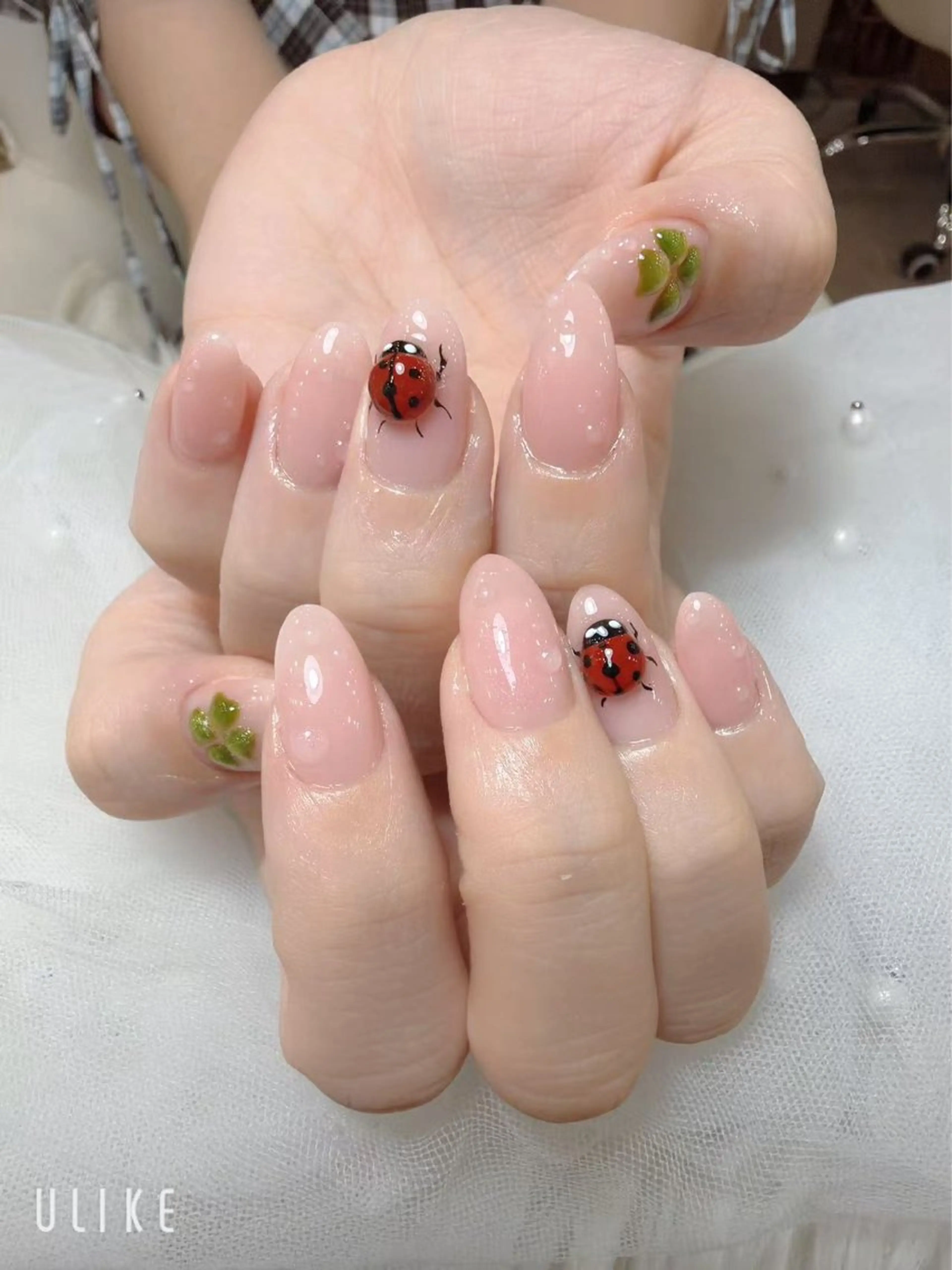 ネイル フレンチネイル 韓国ネイル マグネットネイル ニュアンスネイル オフィスネイル チョウ Rachaelのネイルデザイン