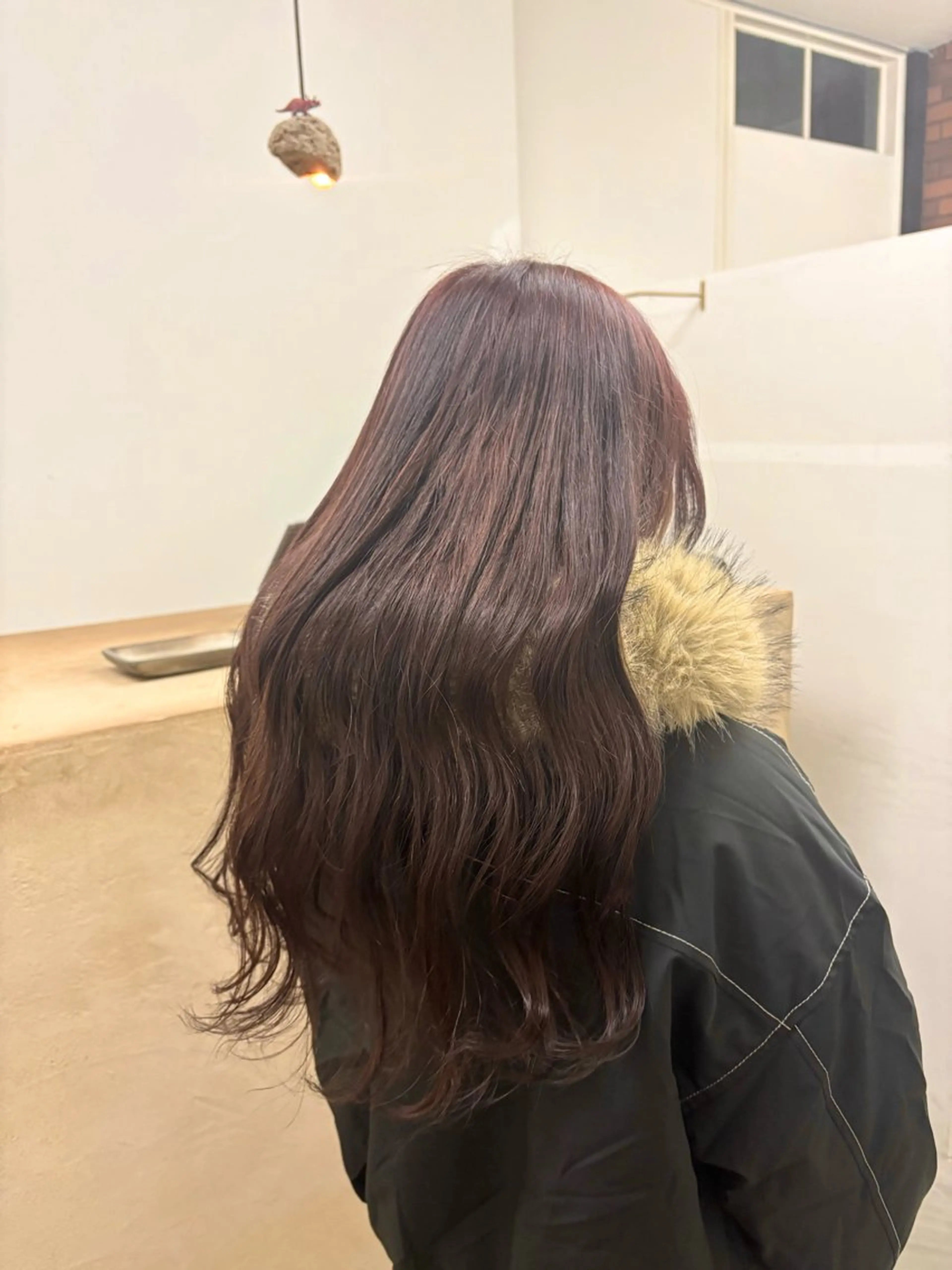 ワンカラーの写真