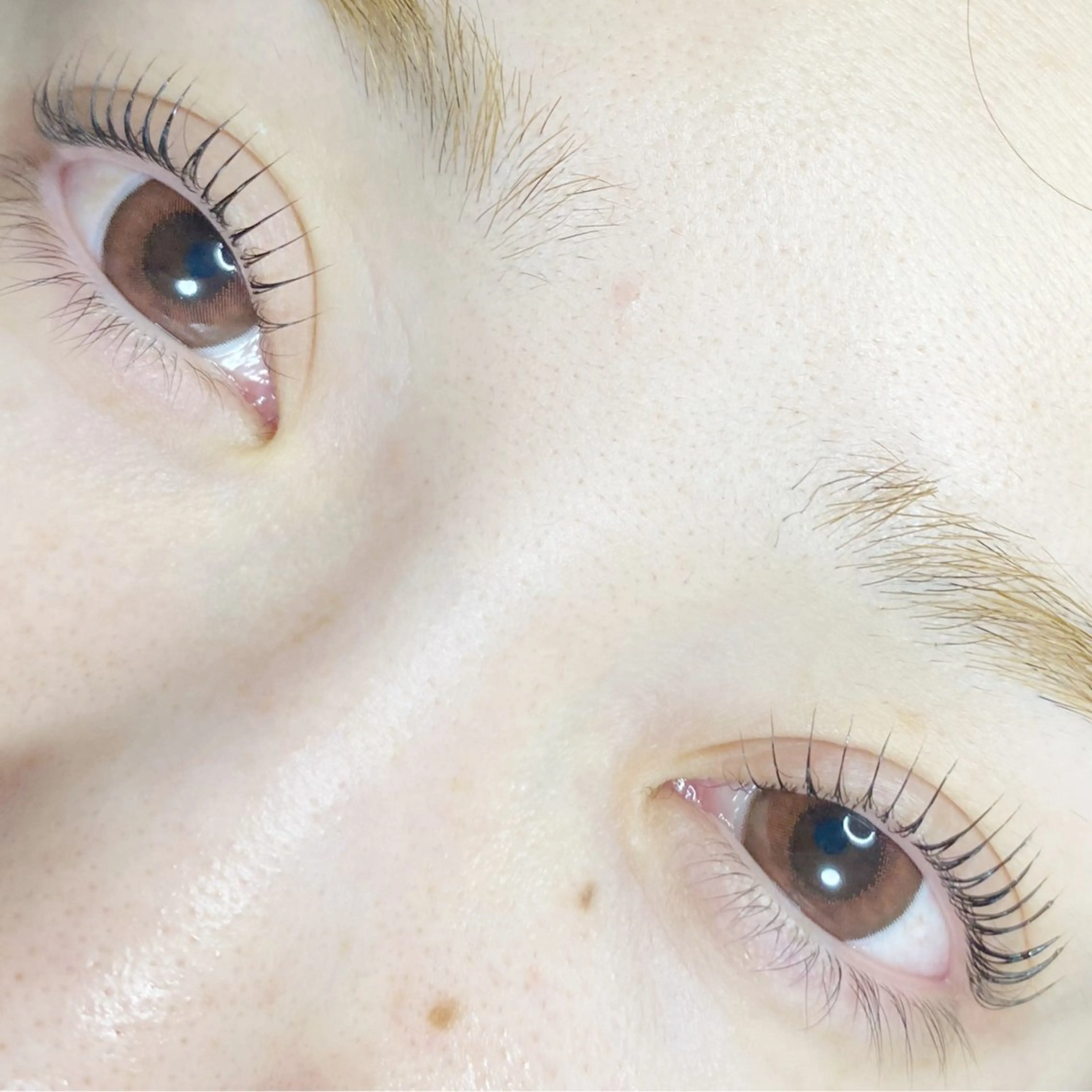 当日限定　ダメージレスラッシュリフト（まつ毛パーマ）の写真