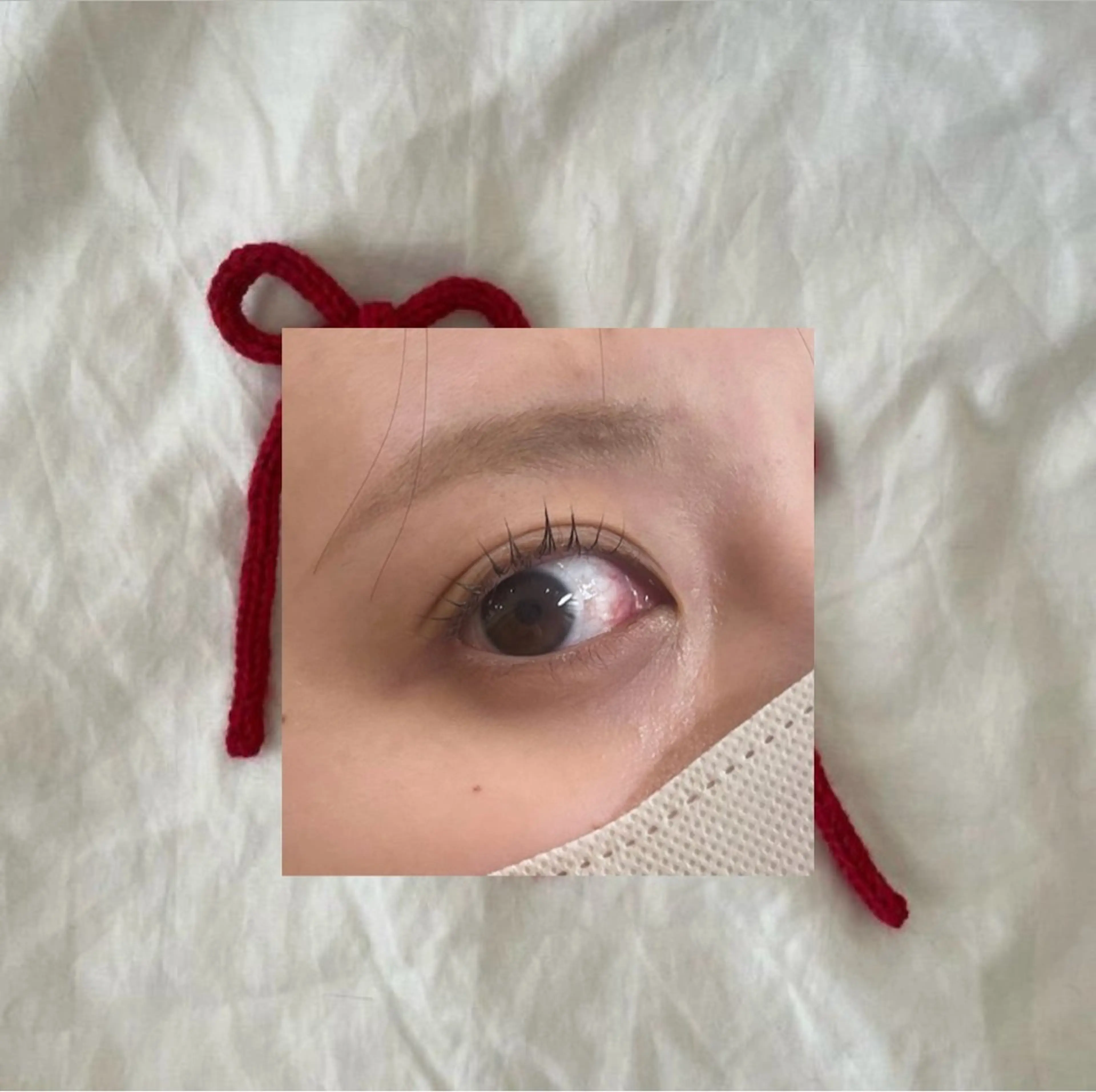 🎀上下まつ毛パーマ🎀 無料モデル様募集中★の写真