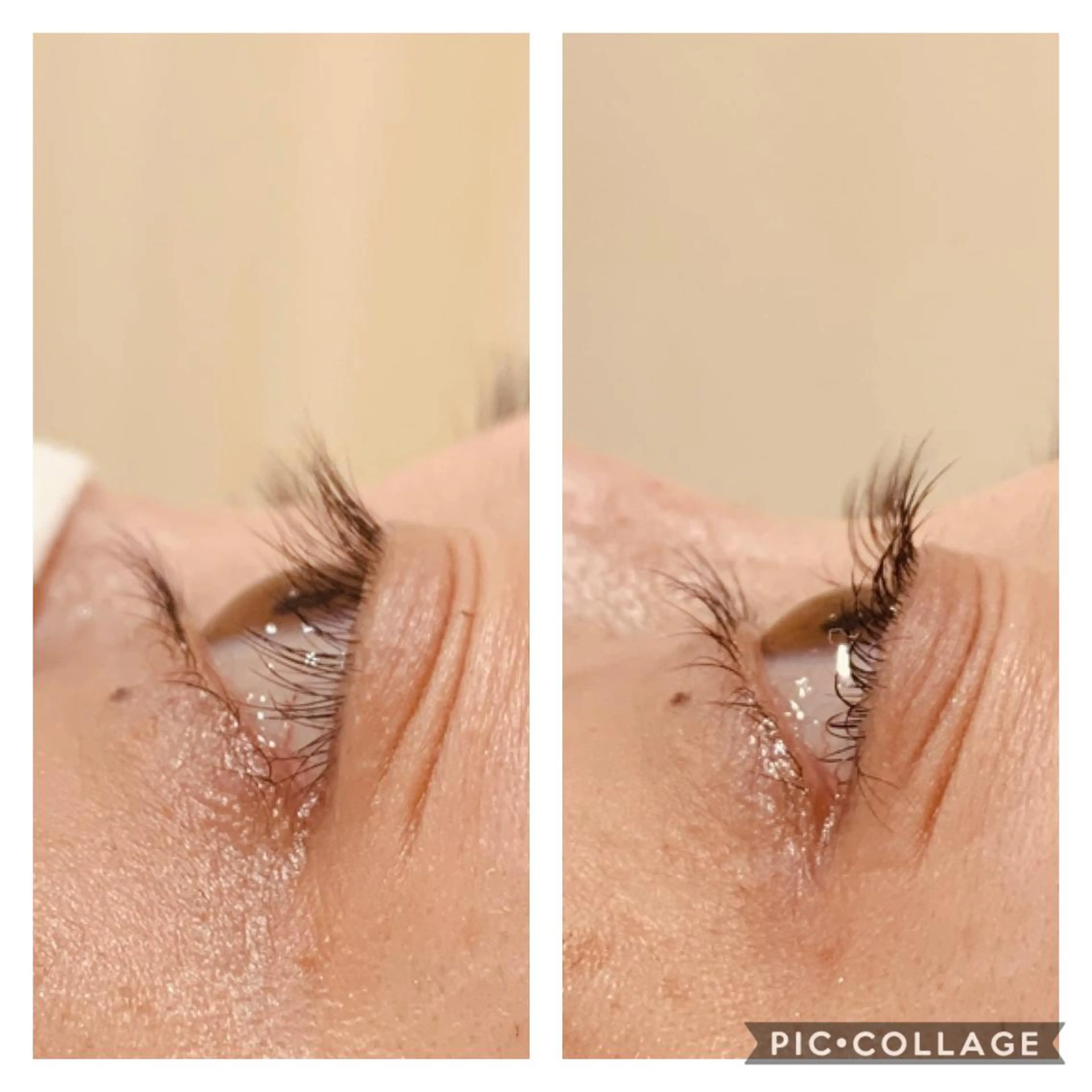 マツエク・マツパ Daisy hair所属・Daisy hair eyelashのマツエク・マツパデザイン