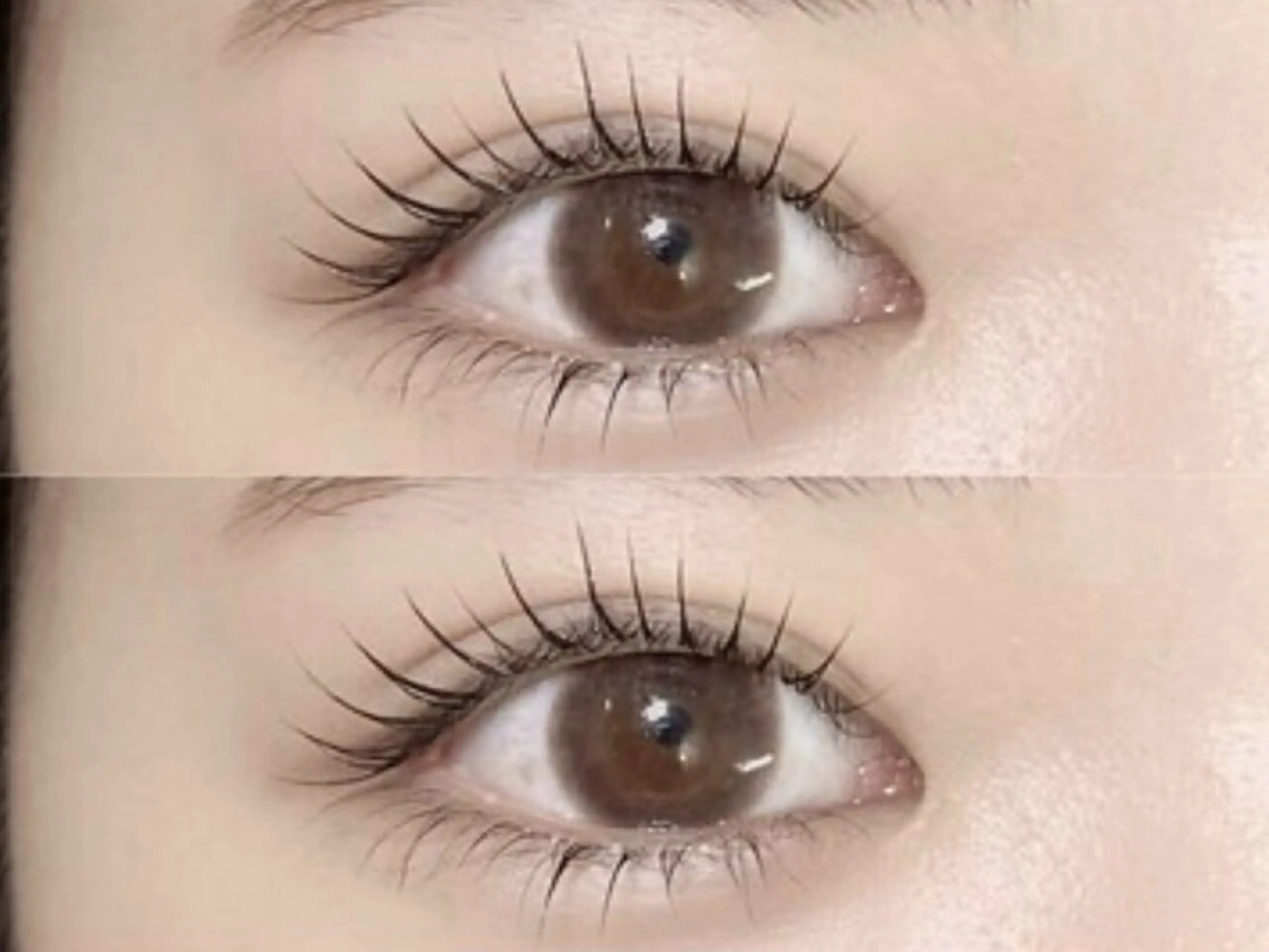 【束感OK】まつ毛パーマorパリジェンヌラッシュリフト　アイシャンプー付の写真