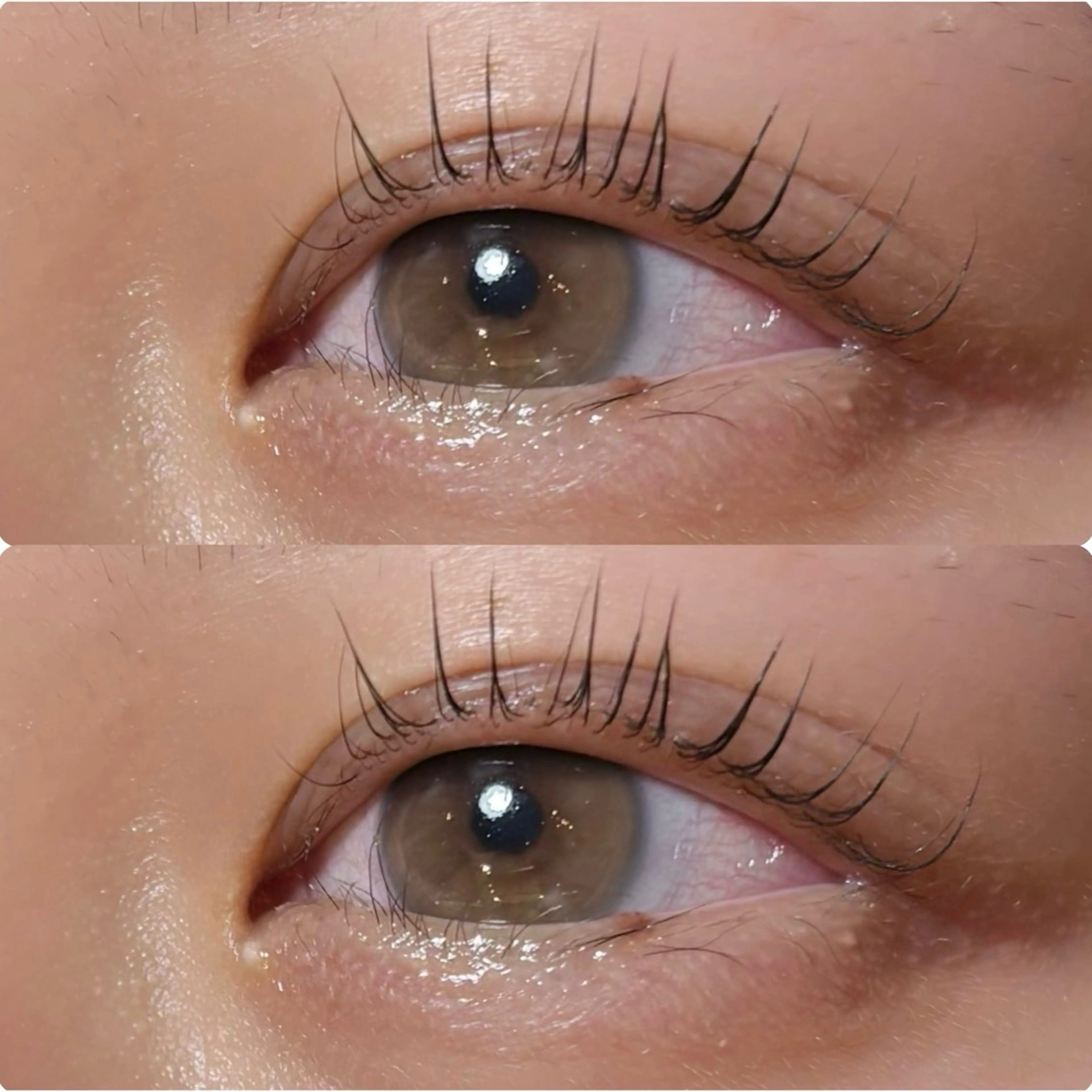 マツエク・マツパ meguru／マツパ ／マツエク／束感のマツエク・マツパデザイン