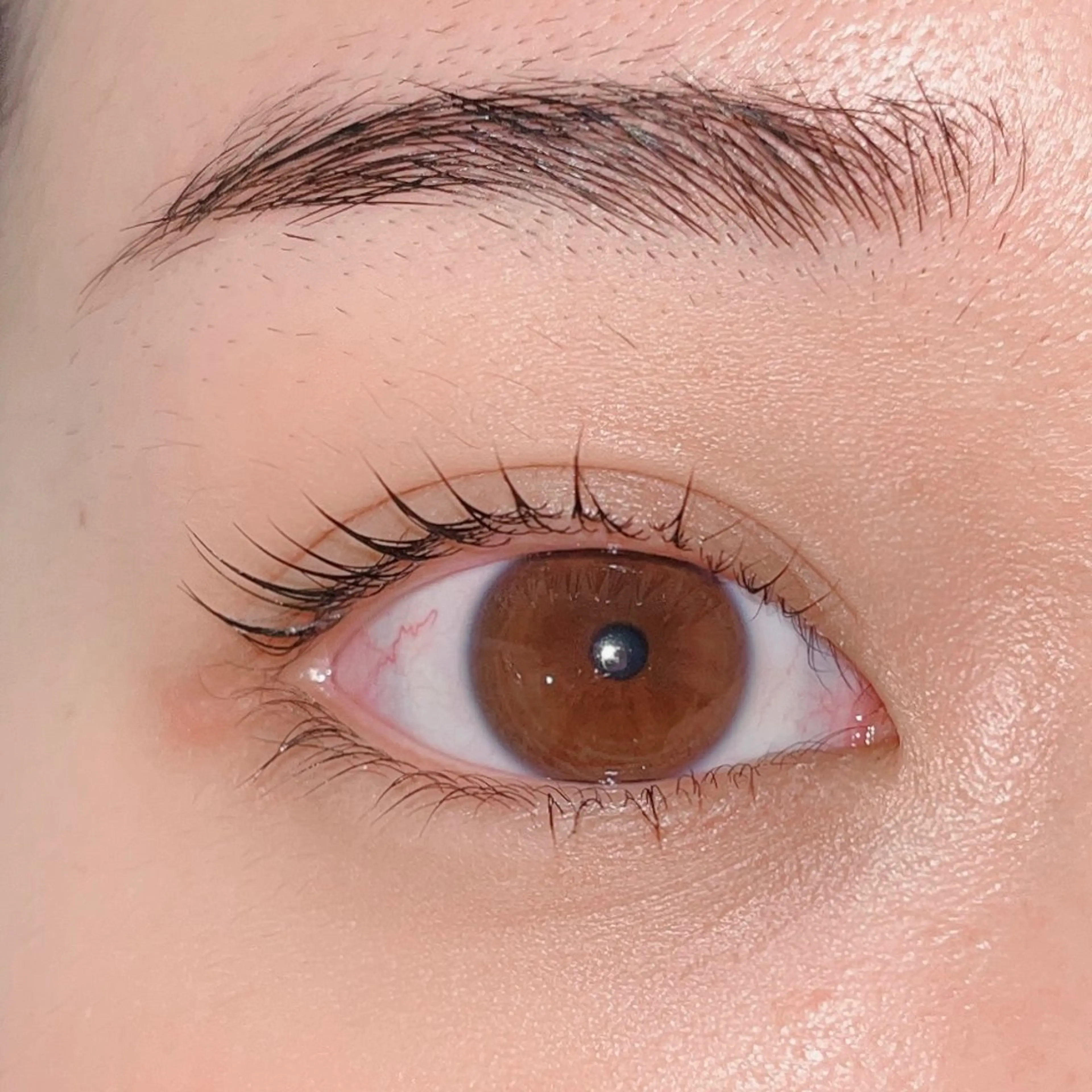 【ご新規様】❤️上下まつ毛カール ￥6500❤️（2回目＋¥500)の写真