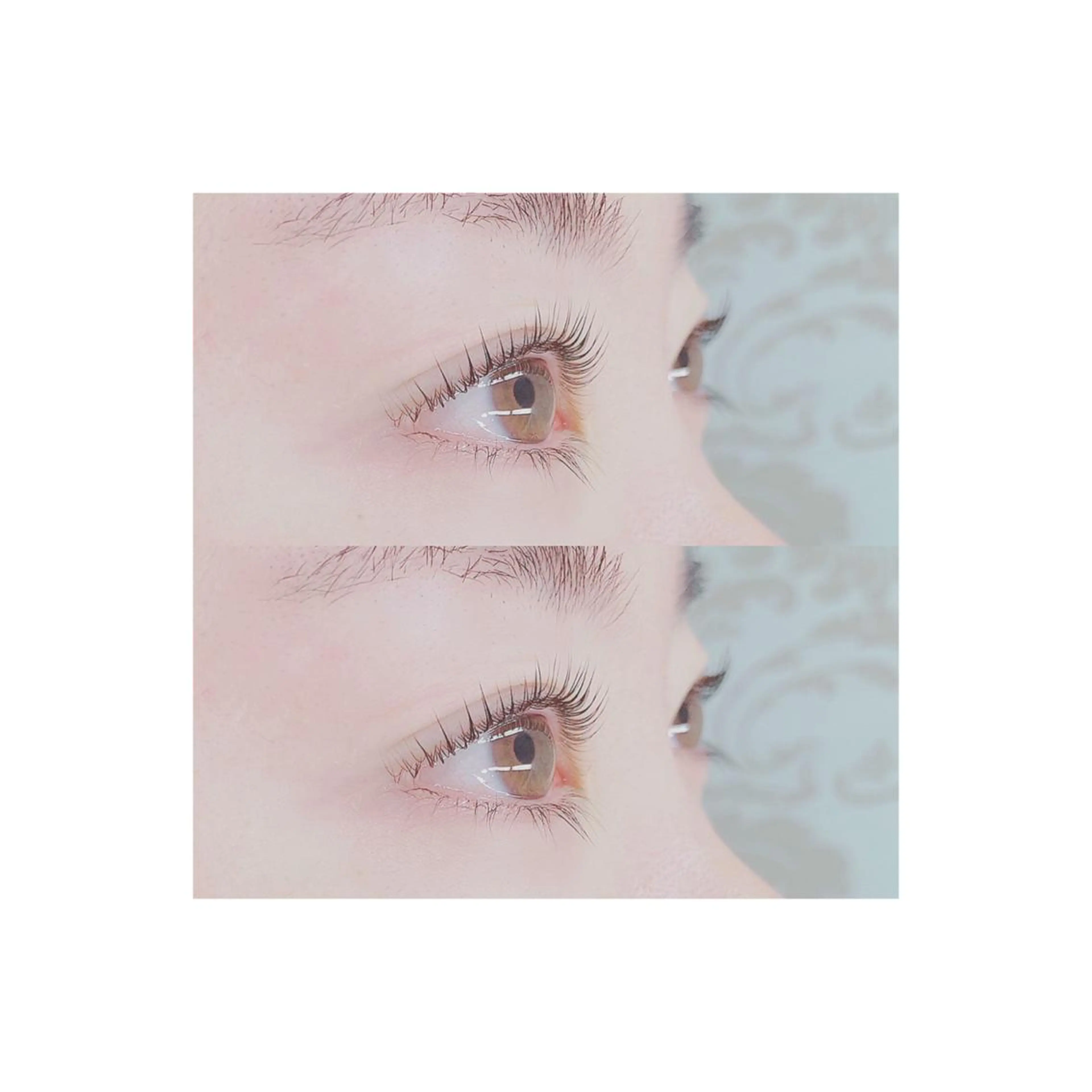 【ご新規様限定🌟】次世代まつげパーマ🌷の写真