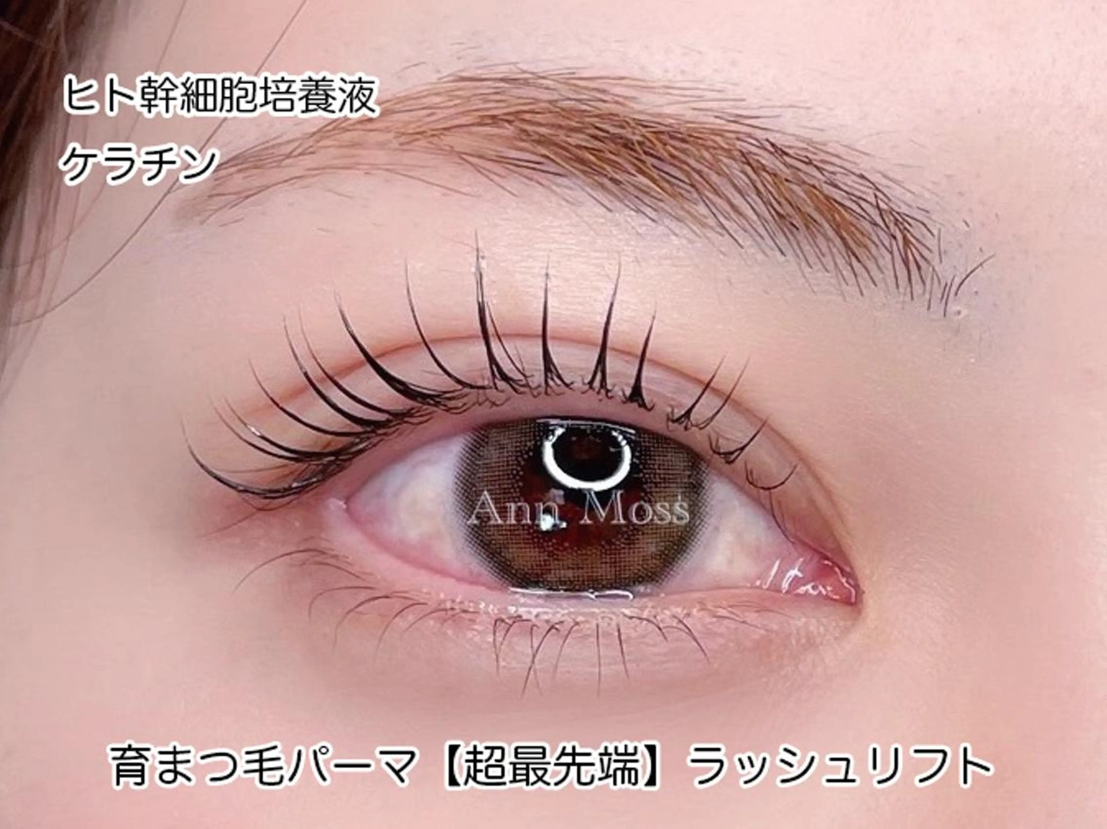 5月6・7日限定❣️【無料マツパ練習モデル募集】ラッシュリフト⚠️メニュー説明を必ずお読みください⚠️の写真