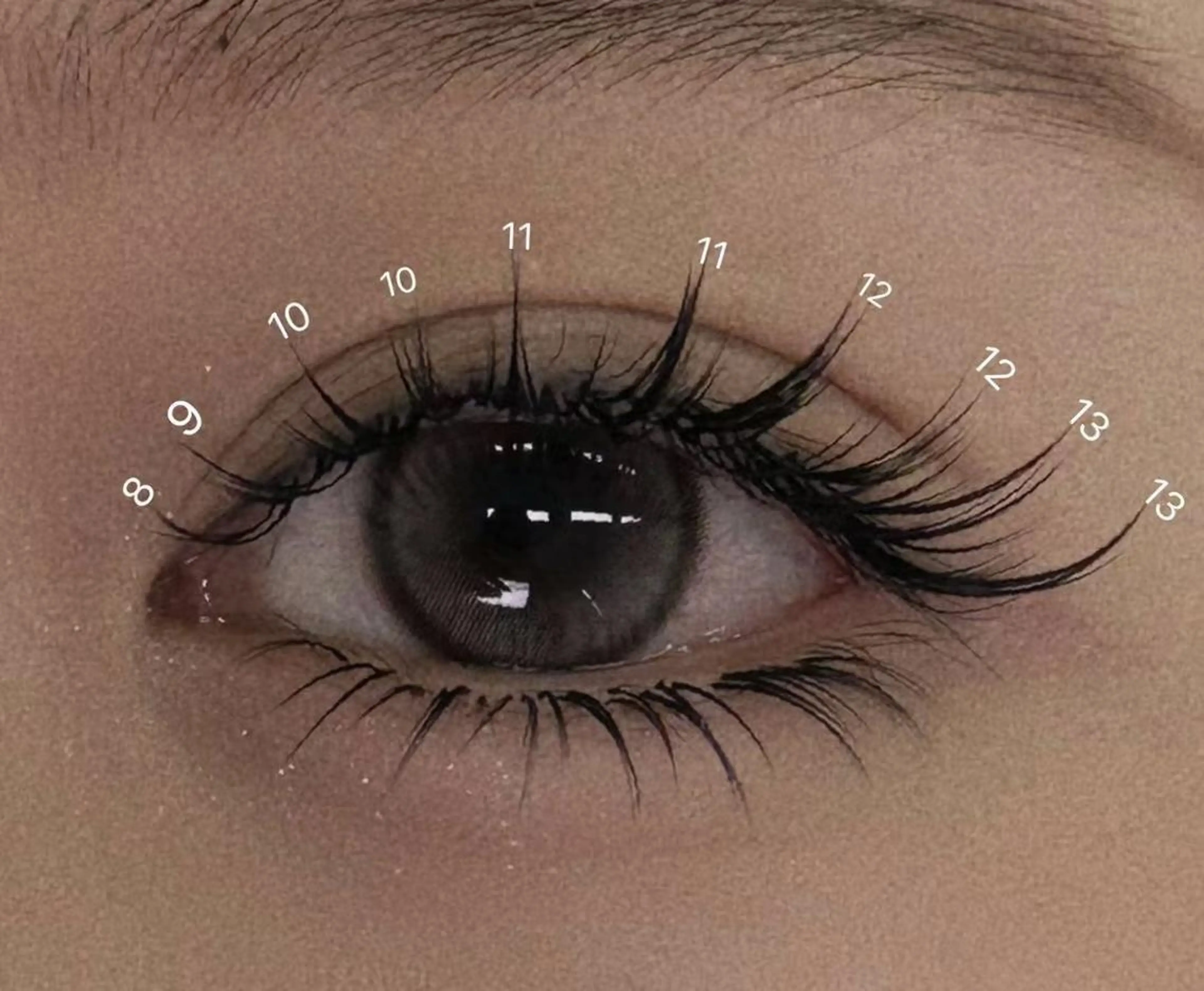 マツエク・マツパ ケラチンラッシュリフト 付け放題 カラーマツエク フラットラッシュ パリジェンヌラッシュリフト AB マツエクネイルサロンのマツエク・マツパデザイン