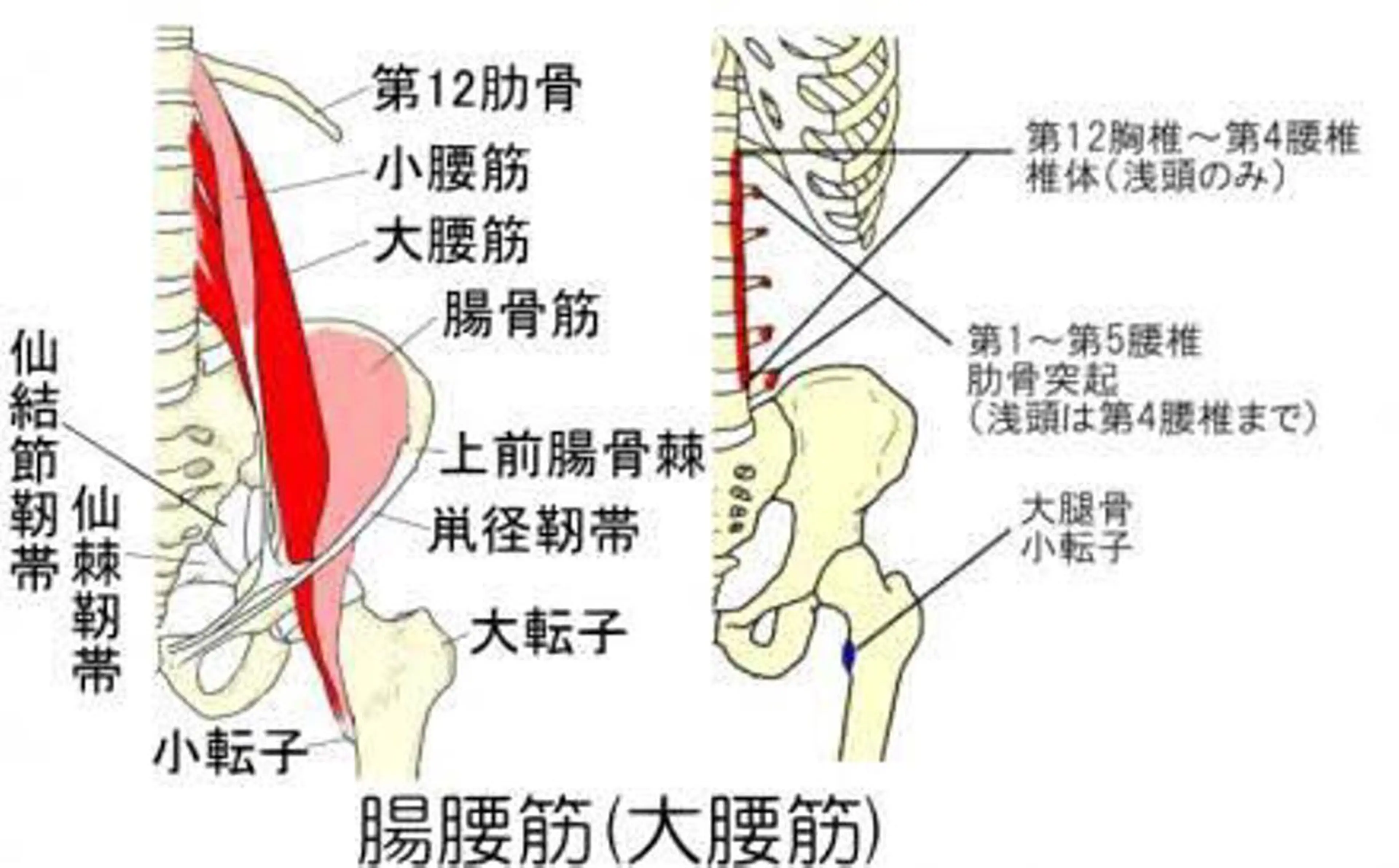 プライベートサロンAnk所属・プライベートサロン Ankのエステ・リラクイメージ