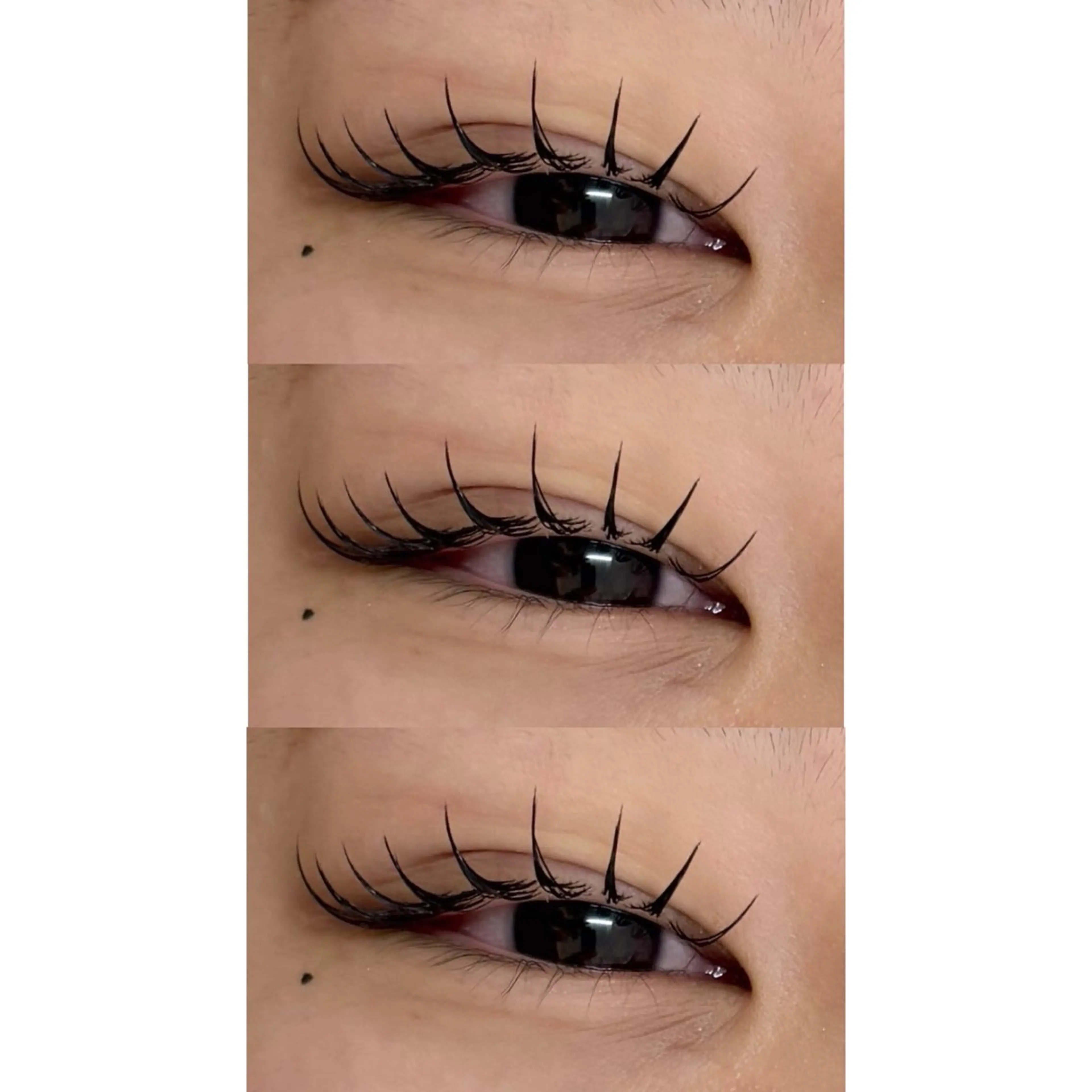 90分フラットラッシュ100本モデル(オフ込み)の写真