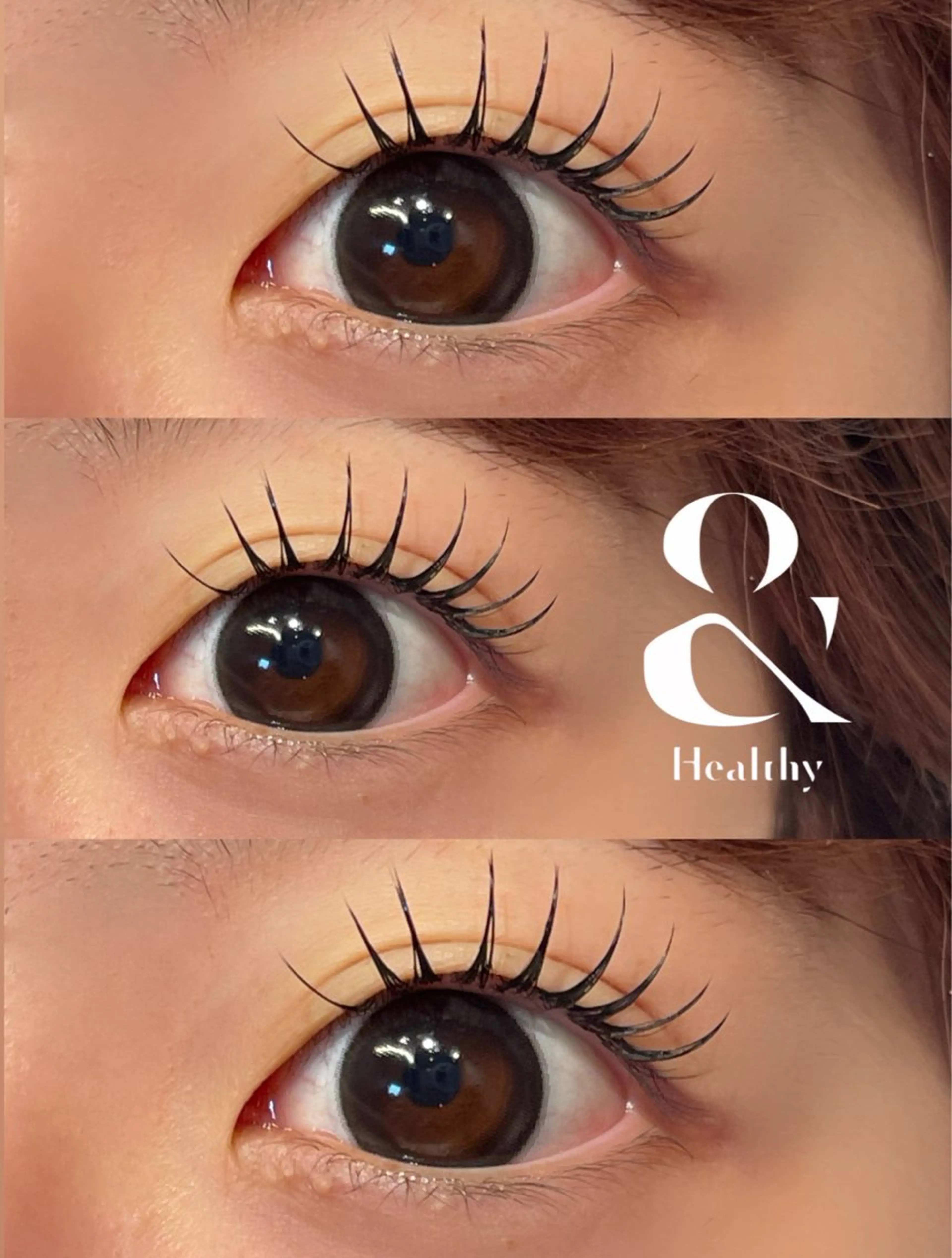 12月限定 &healthy【アンドヘルシー】フラット100本+まつげパーマの写真