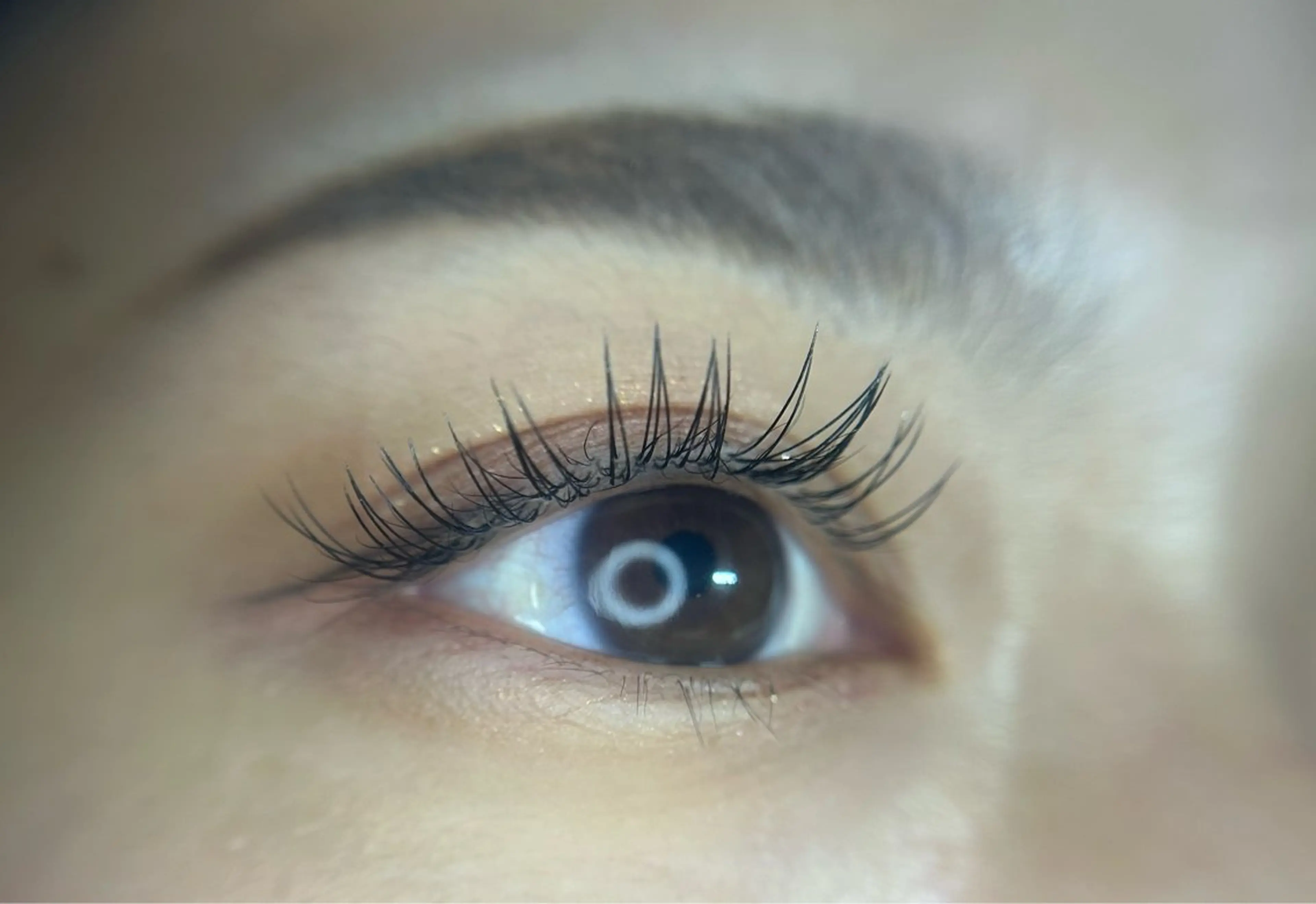 🌟ミニモ限定価格🌟フラットラッシュ100本🪼オフあり🪼オフ無料♡コーティング付きの写真