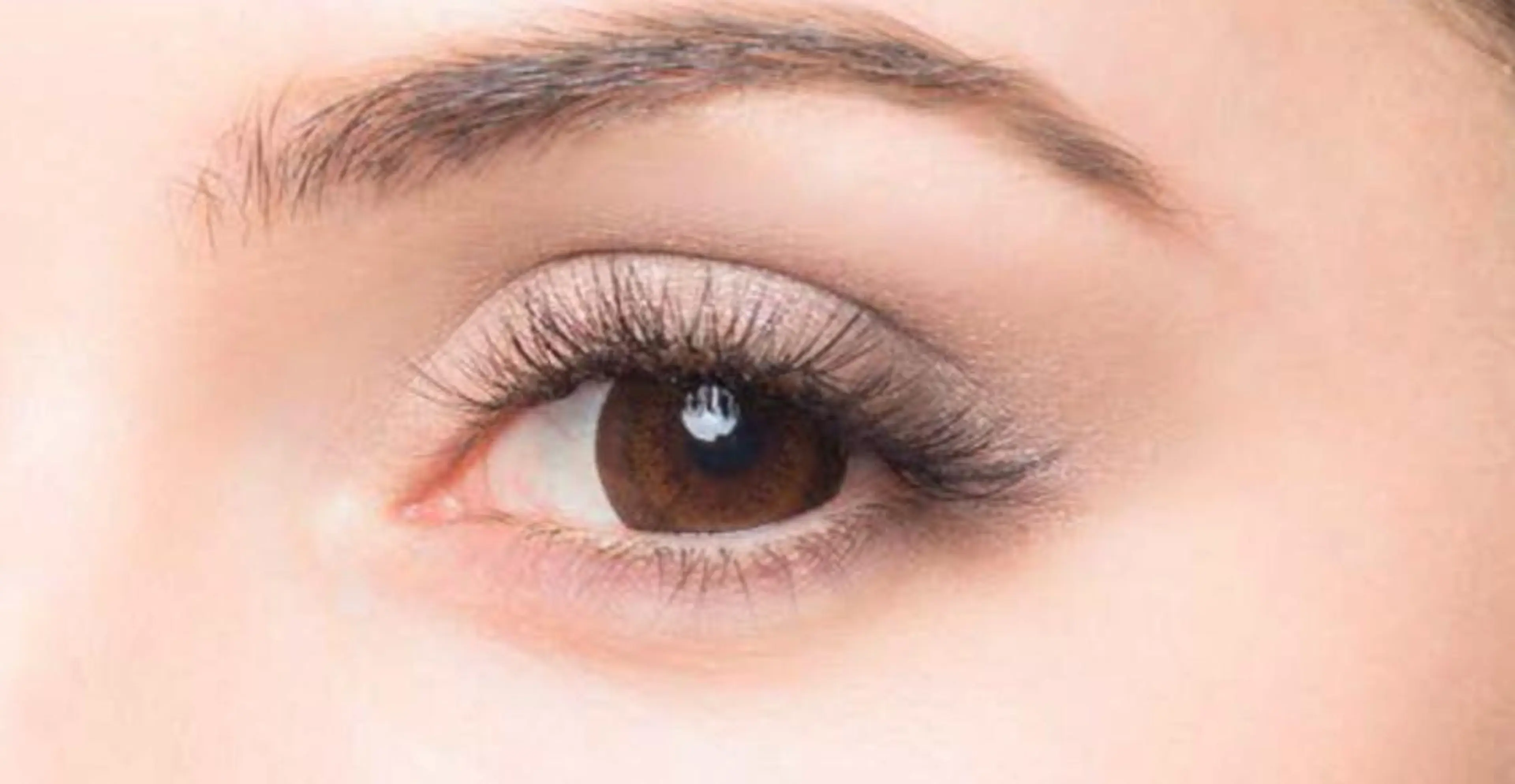 マツエク・マツパ セーブル ボリュームラッシュ マツエク Orange  Camelのマツエク・マツパデザイン