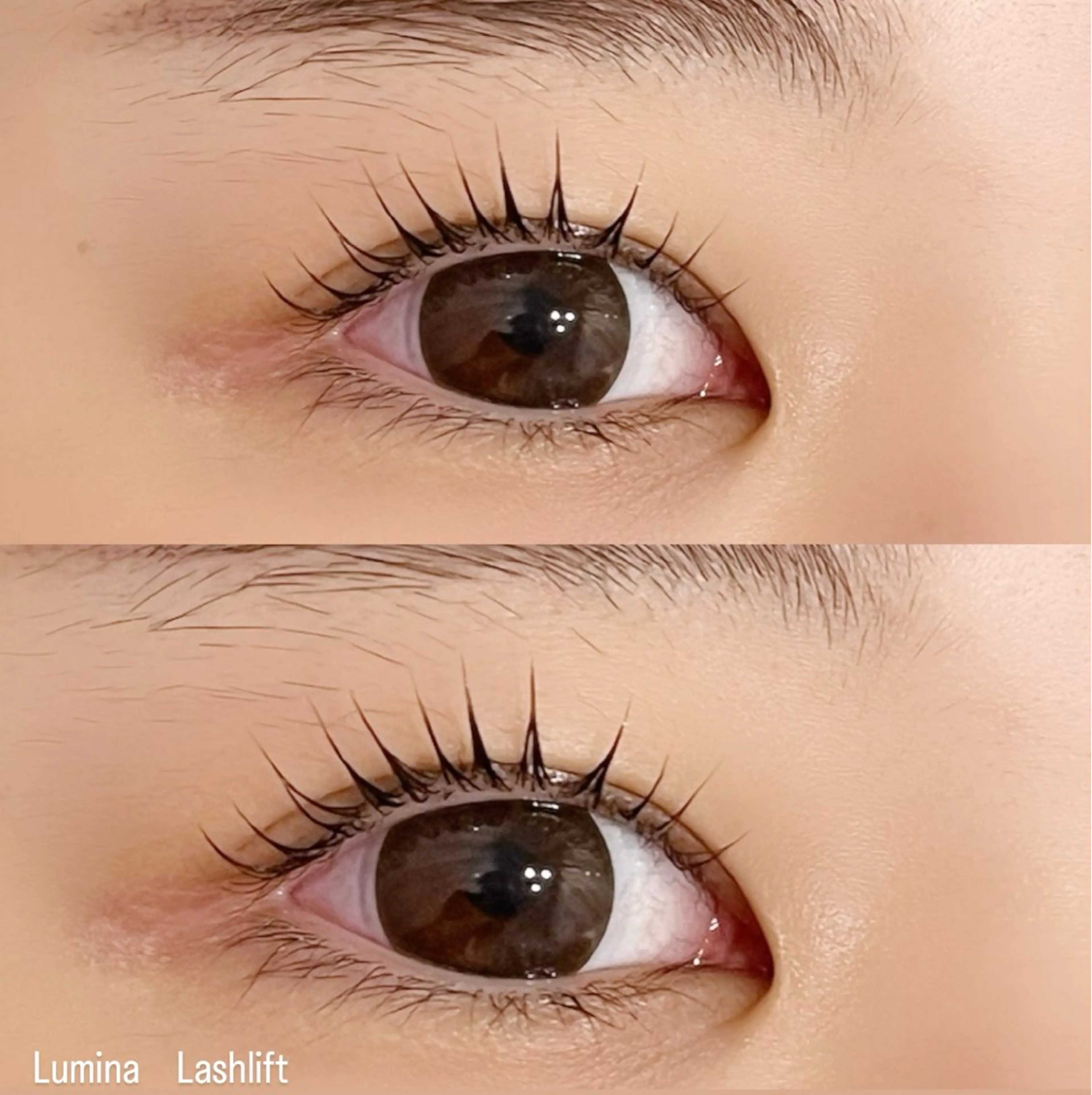 マツエク・マツパ マツパ Lumina Fuyumiのマツエク・マツパデザイン