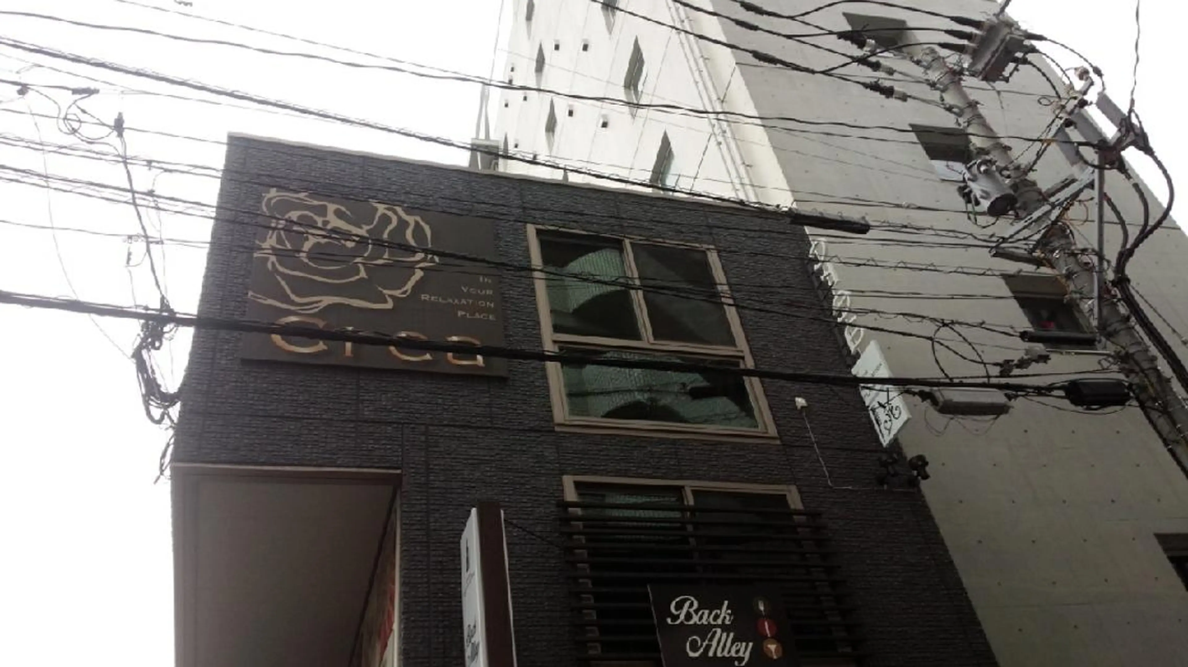 Crea所属・清水 旭美のヘアスタイル