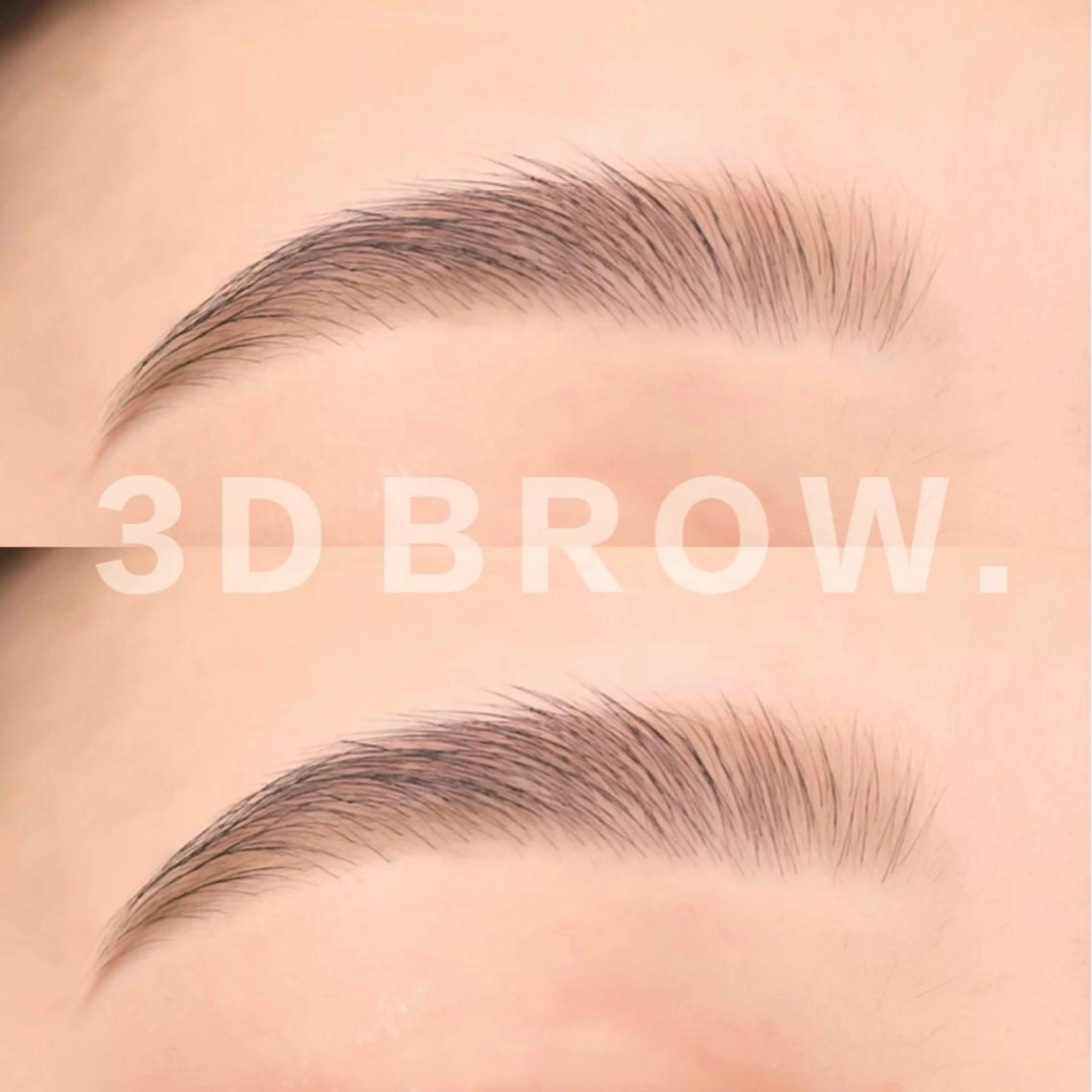 3Dブロウ、ブロウラミネーションの写真