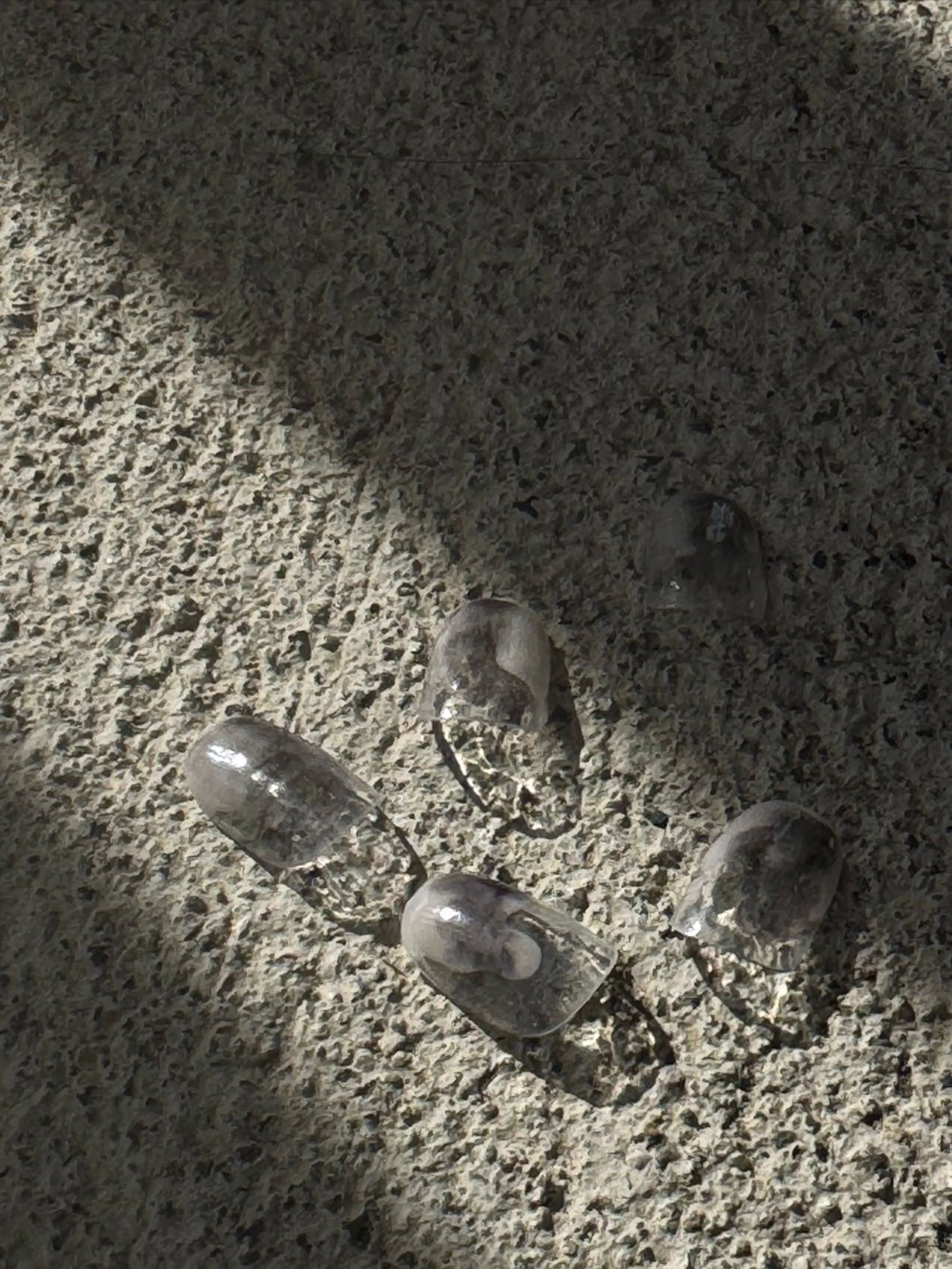 ネイル ハンドネイル Angelique 伊勢崎 織田のネイルデザイン