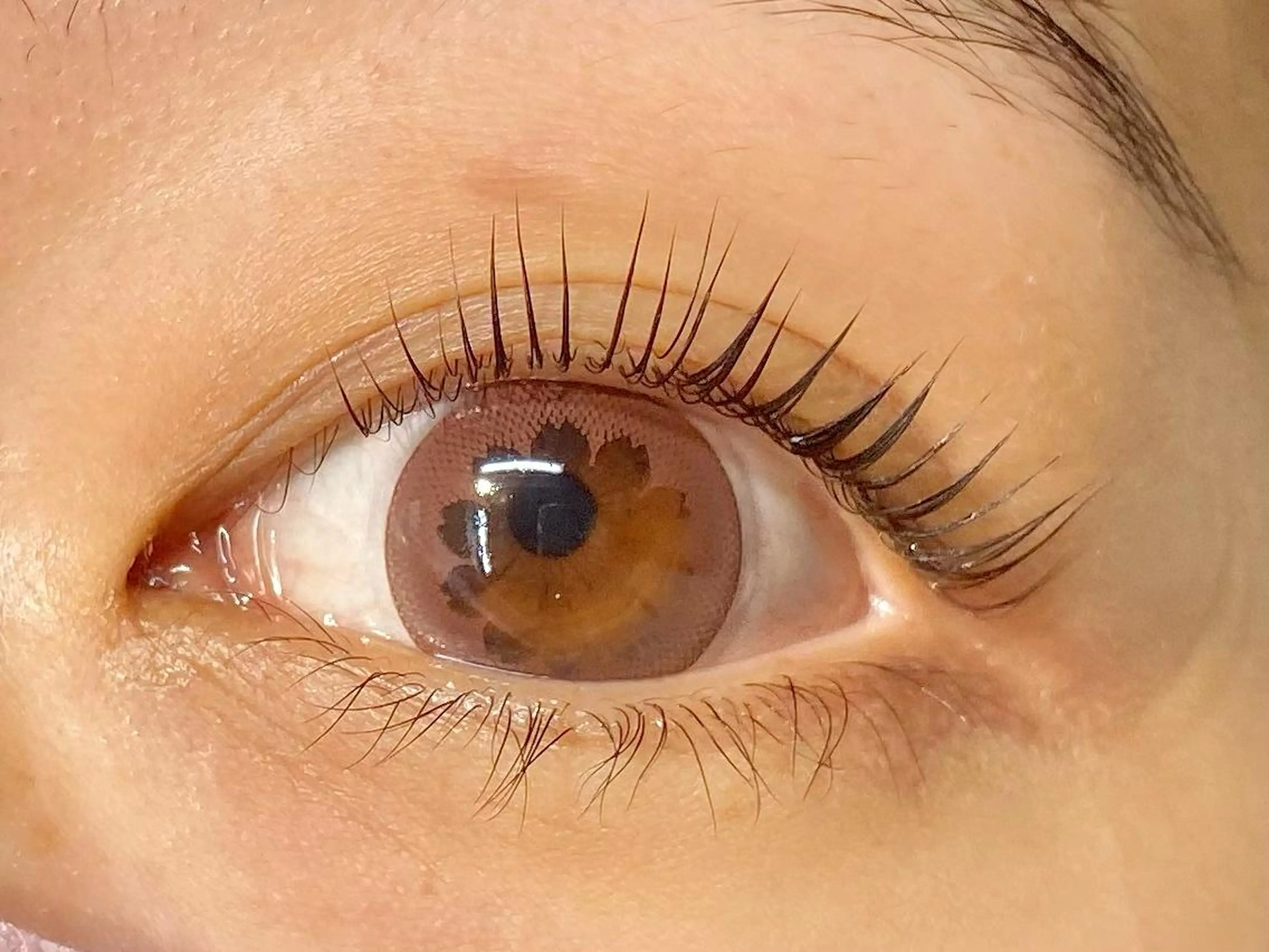 マツエク・マツパ ROCCOeast KAORI まつげ✨のマツエク・マツパデザイン