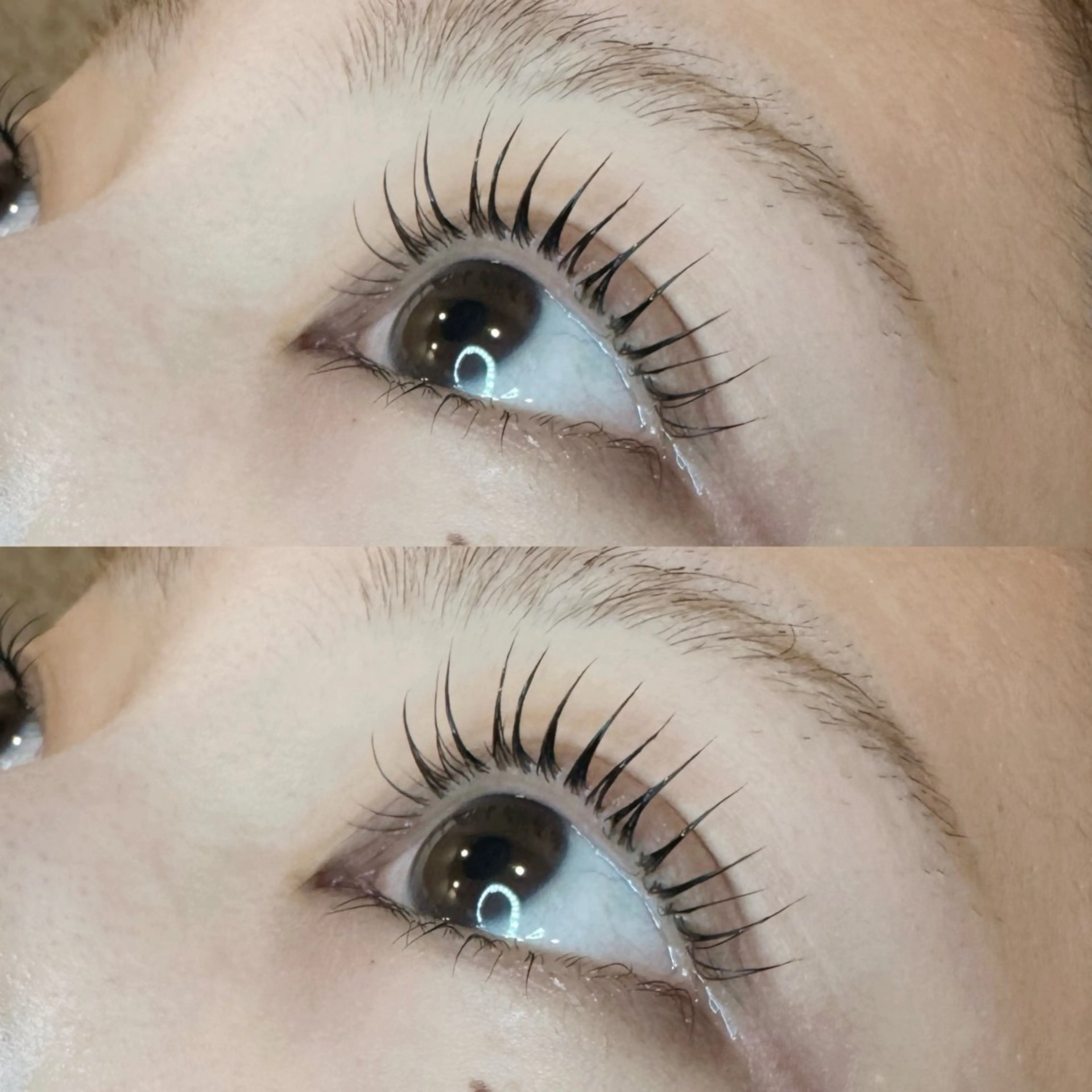 【ミニモ学割】U24 学生限定！まつげパーマ＋高保湿トリートメント※学生証提示必須の写真