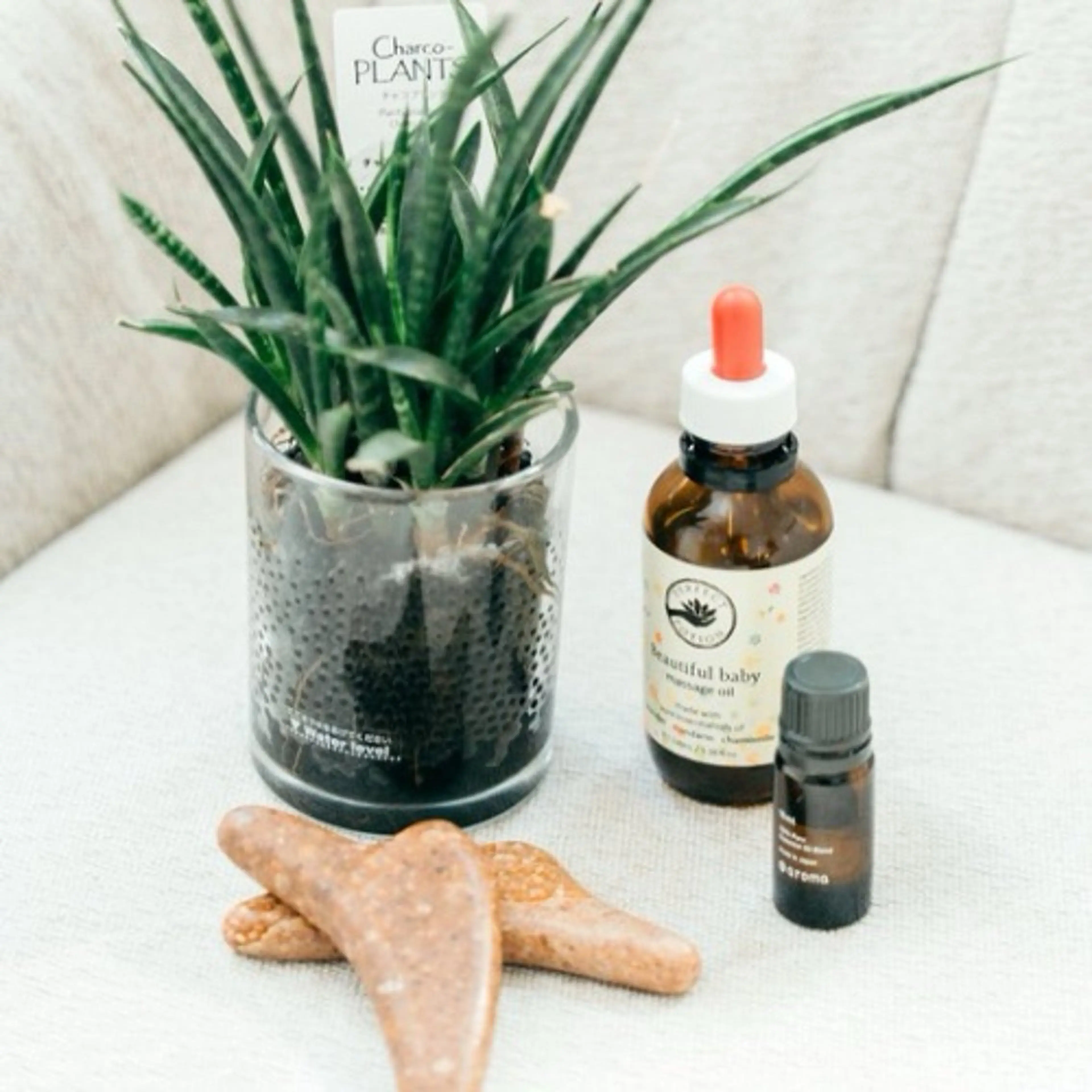 ⭐︎ 彩香のエステ・リラクイメージ