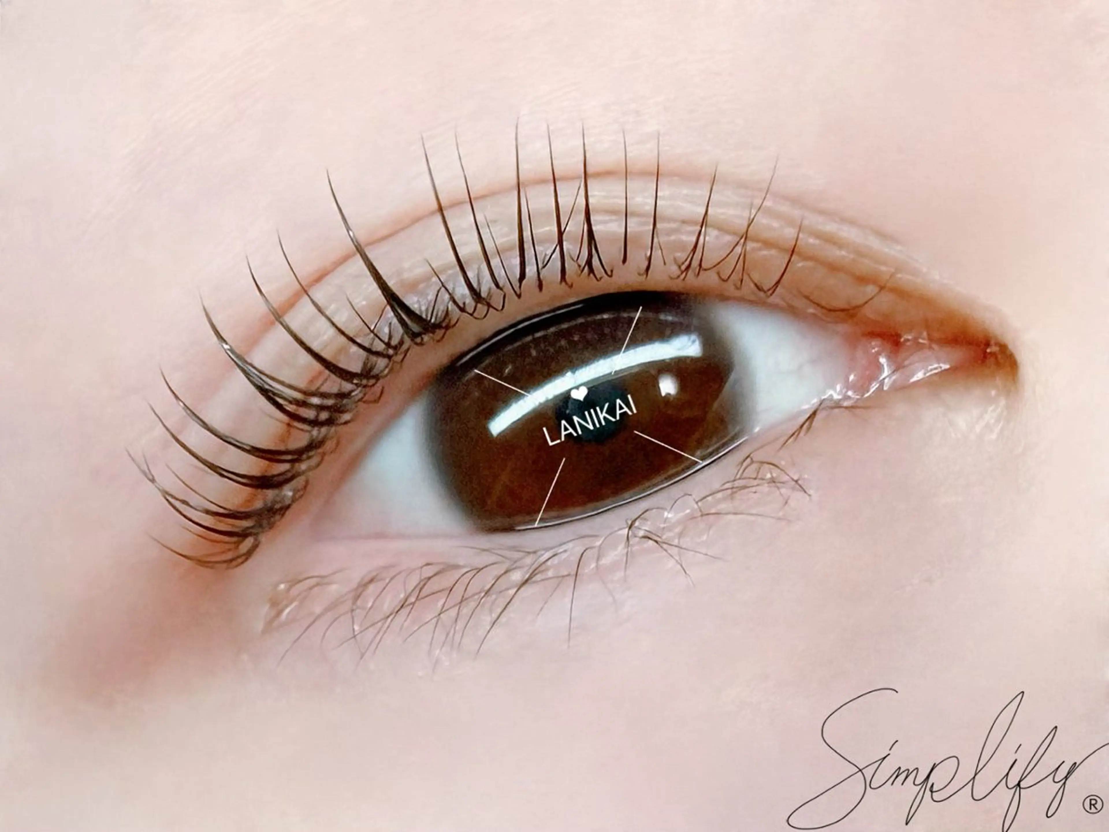 マツエク・マツパ 一重×まつ毛パーマ 古田 有のマツエク・マツパデザイン