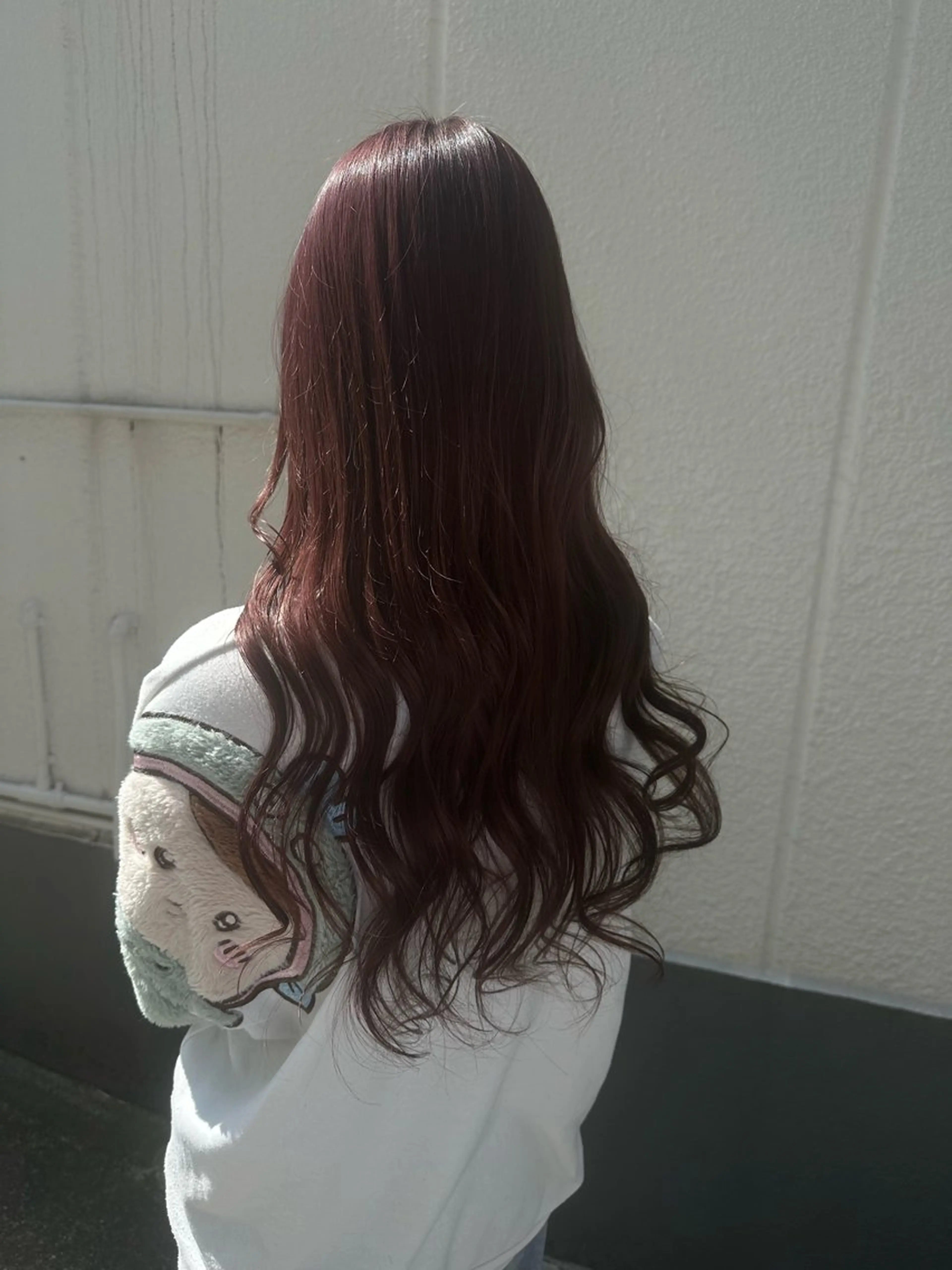 ロング 若山 敦のヘアスタイル