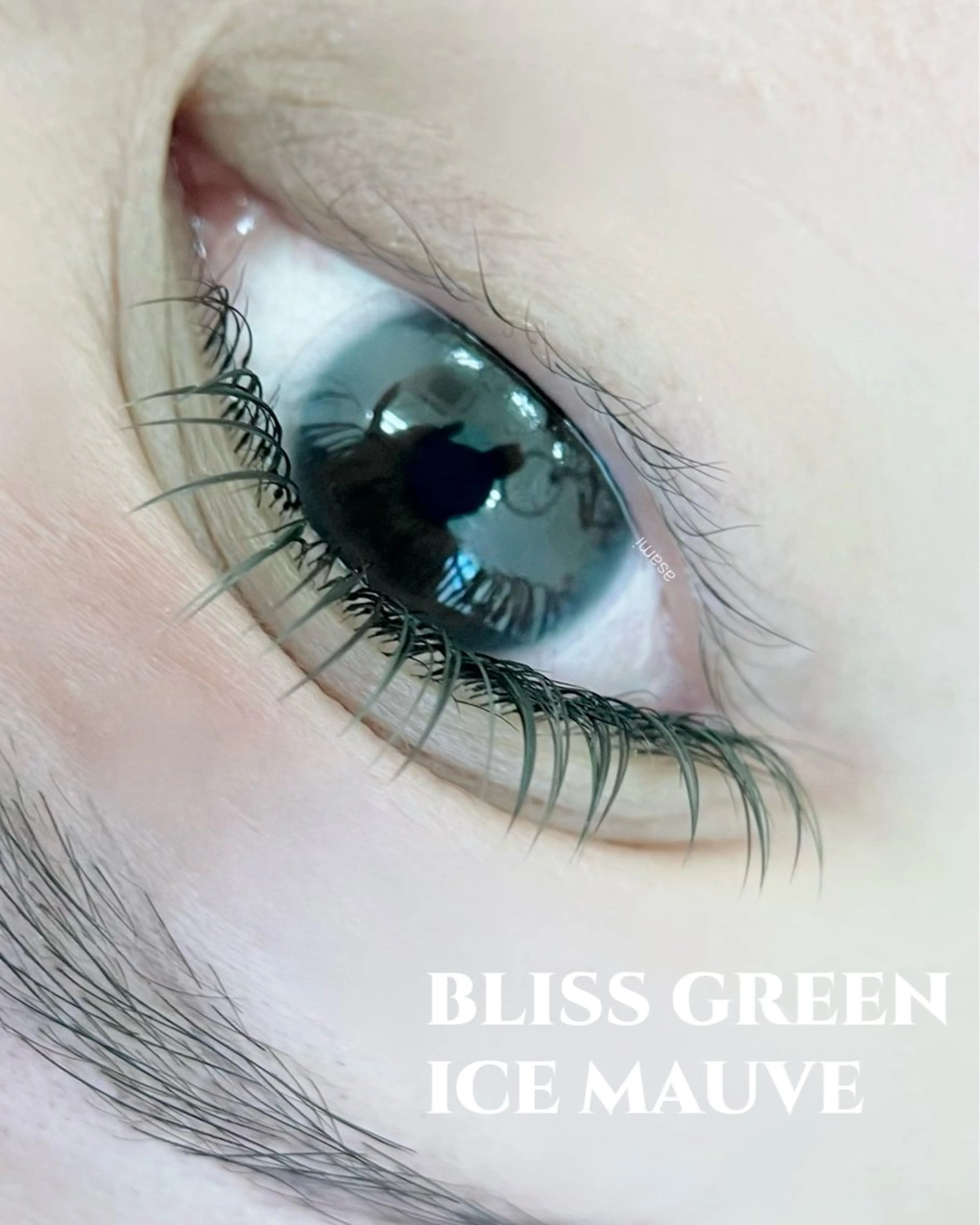 マツエク・マツパ マツエク まつ毛、眉毛 専門店🎀🐻のマツエク・マツパデザイン