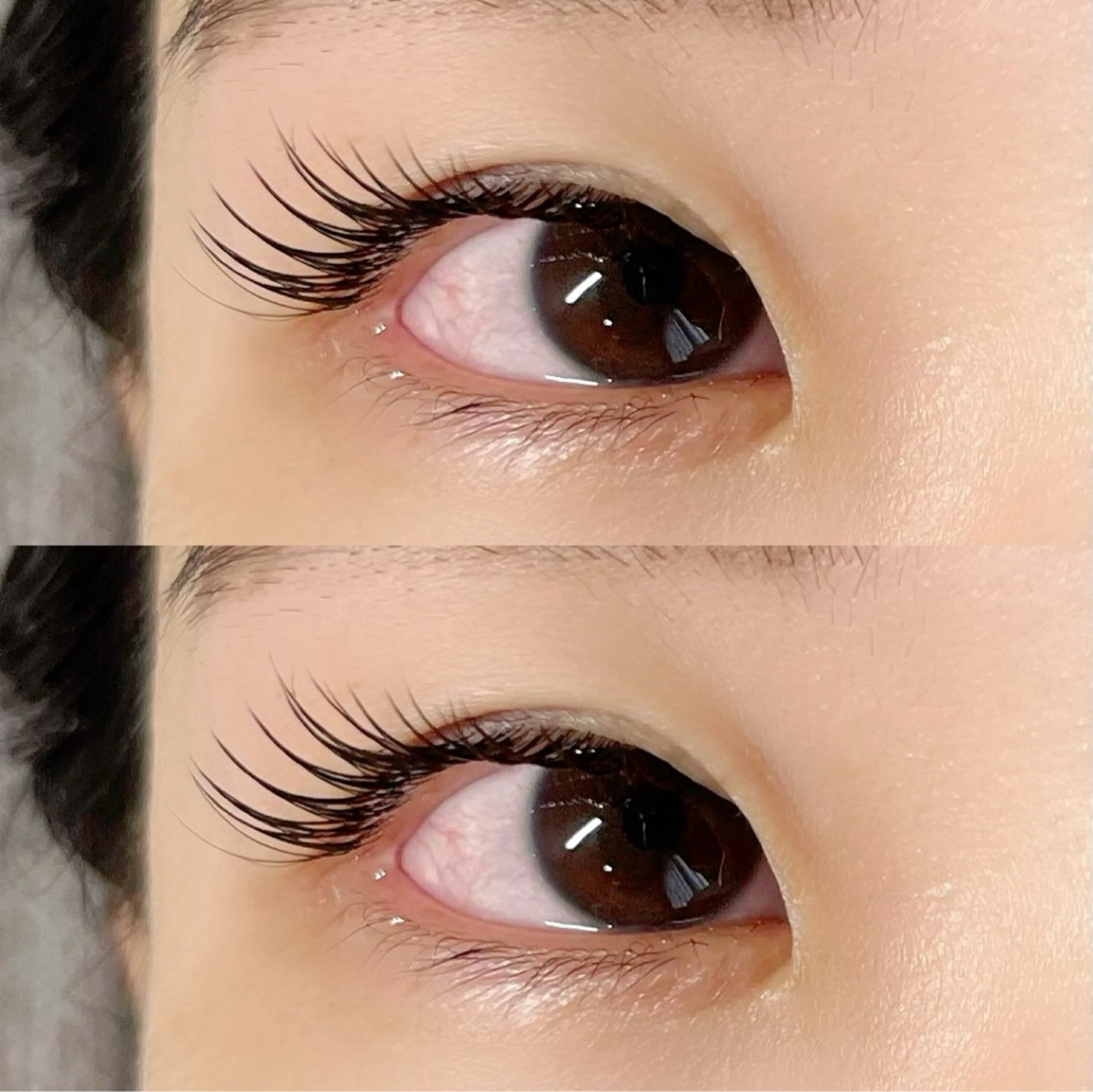 セーブル 160本の写真