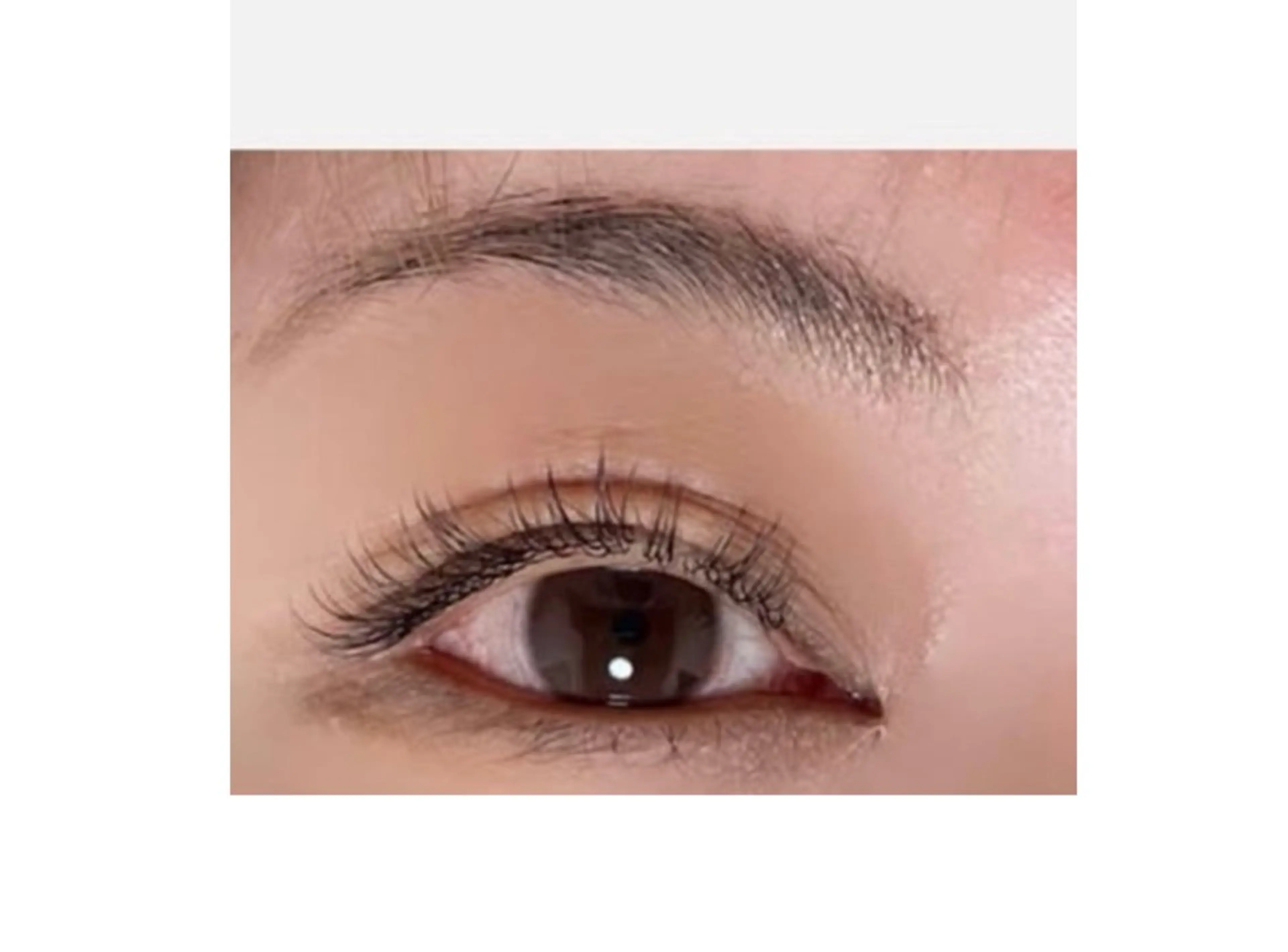 セーブルラッシュ　80本までの写真