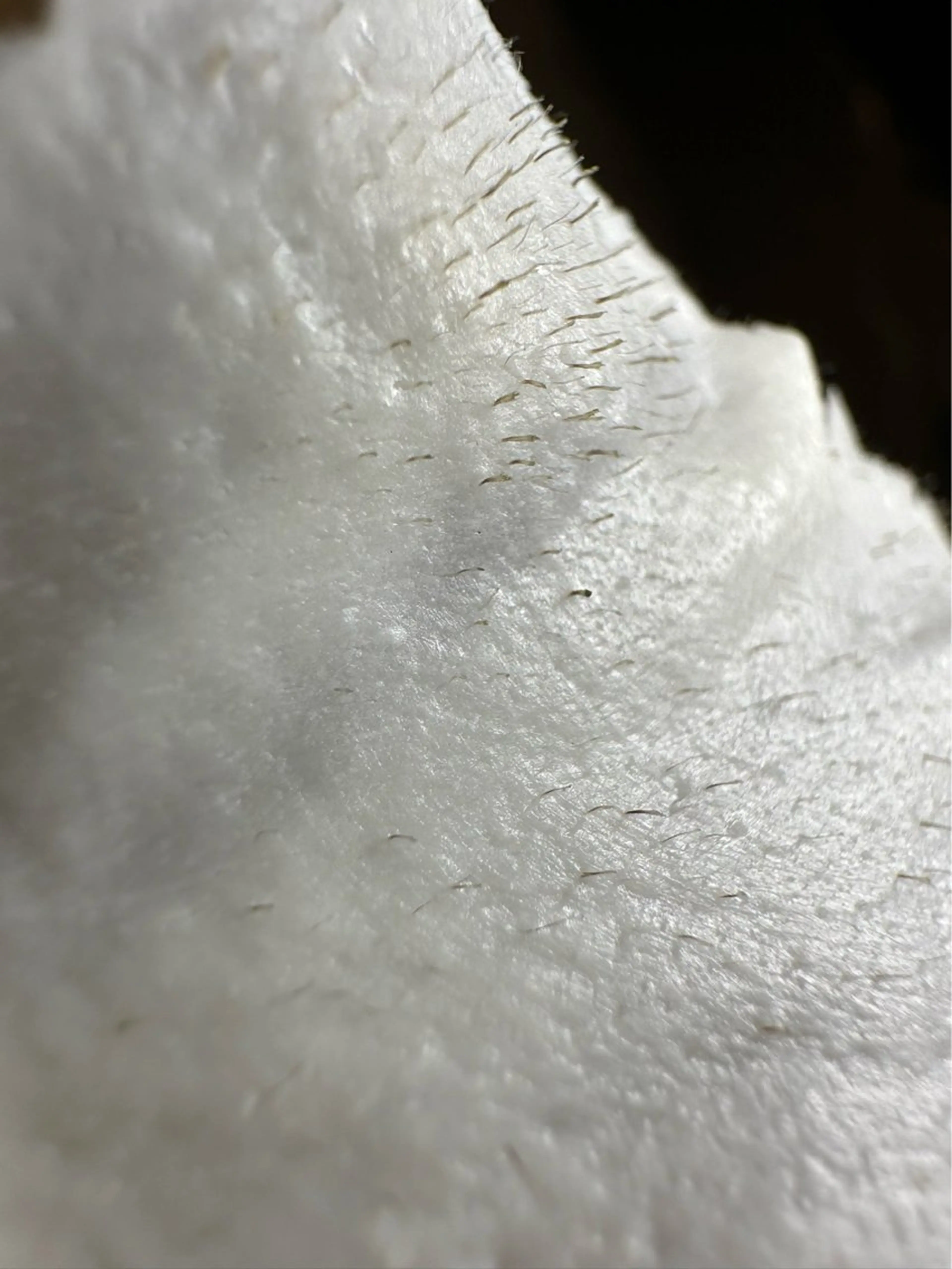 miyu .の眉毛・アイブロウイメージ