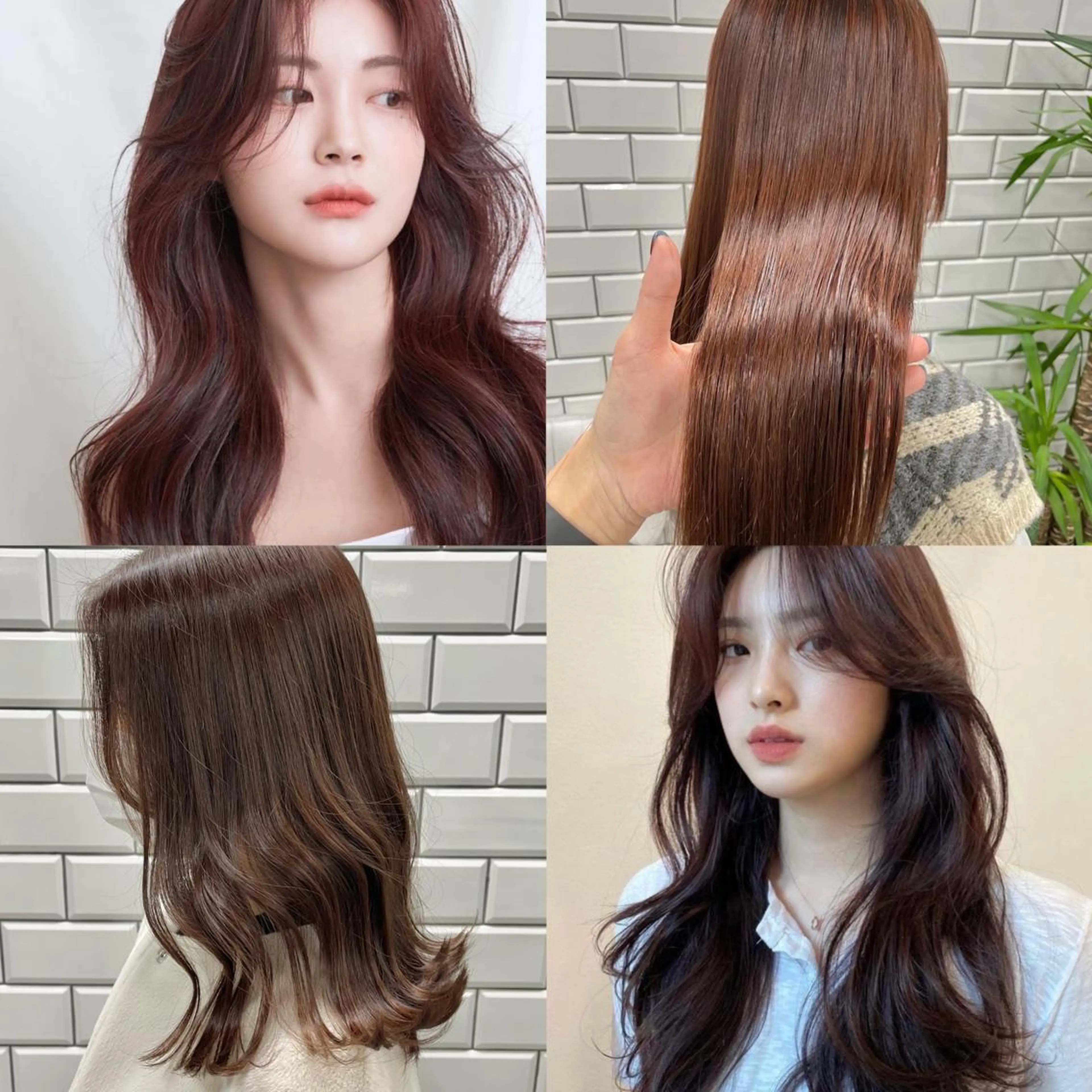 セミロング カラー カット ヘアカラー トリートメント タケダケイ /ショート/ボブのヘアスタイル